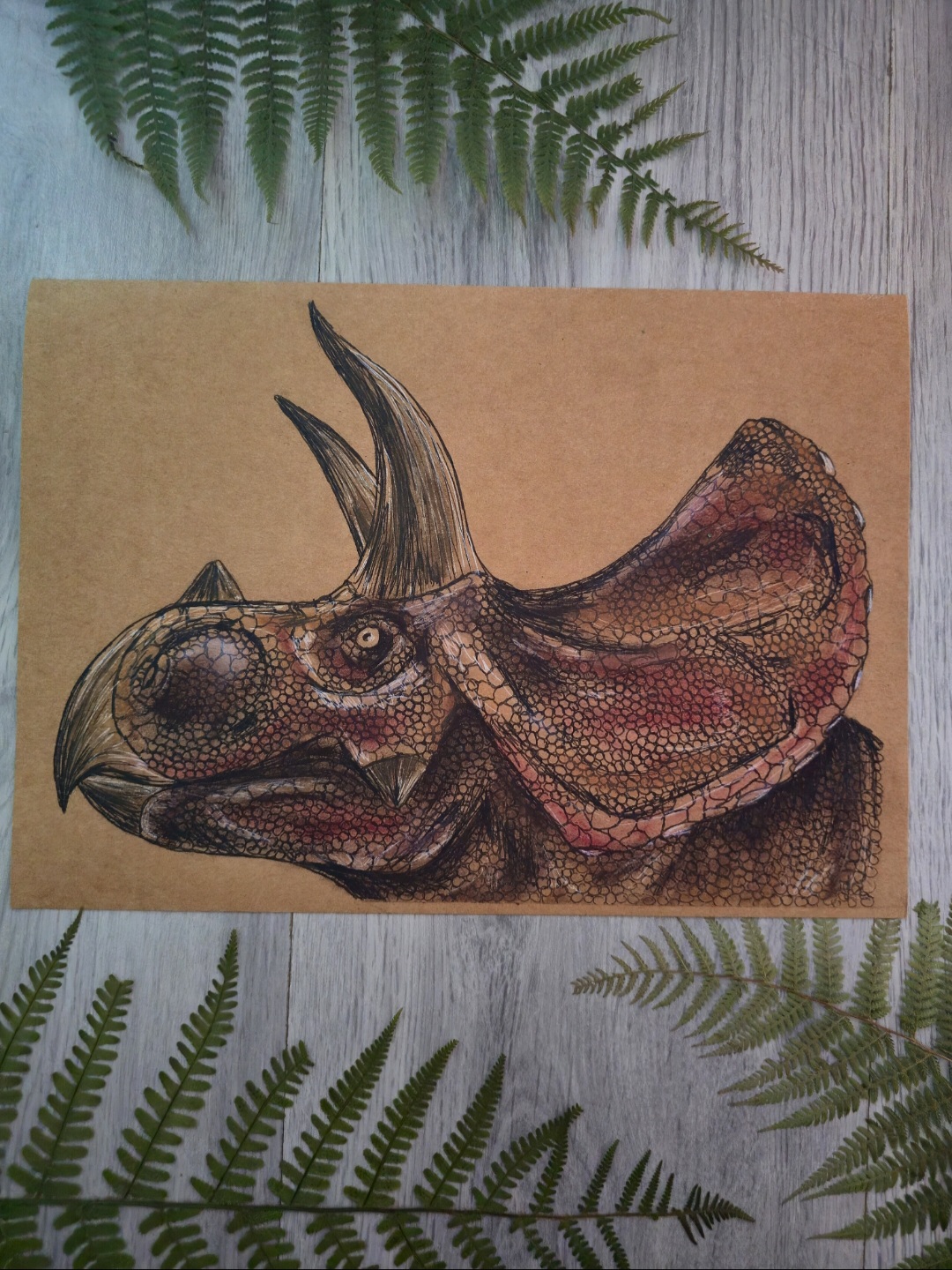Eotriceratops