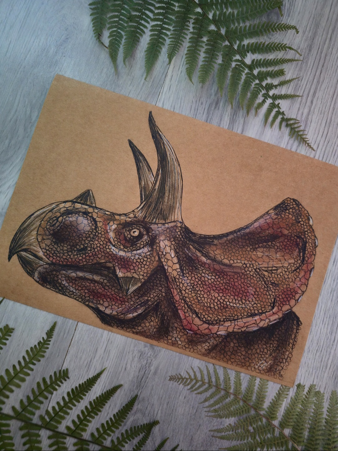 Eotriceratops