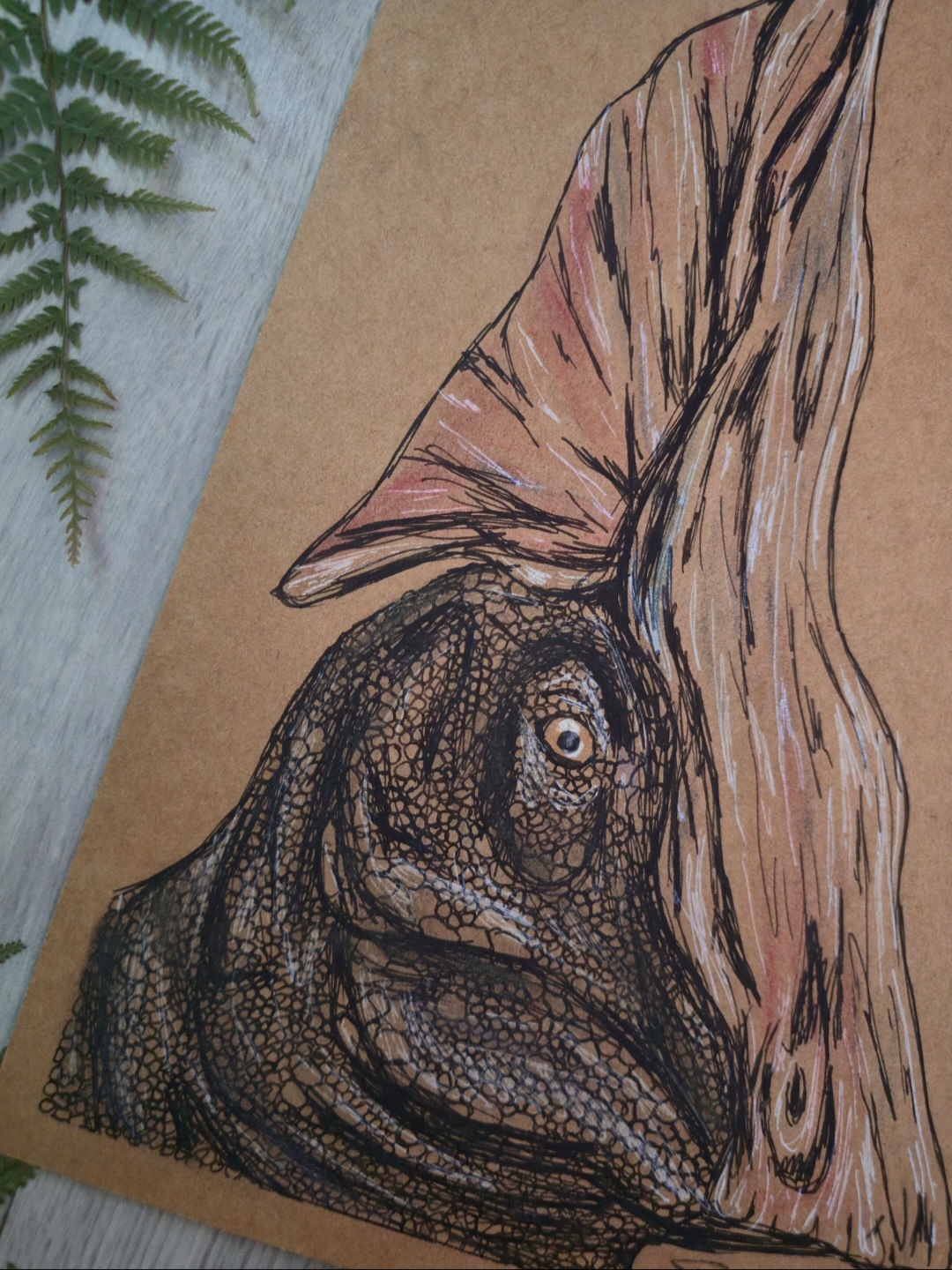 Olorotitan