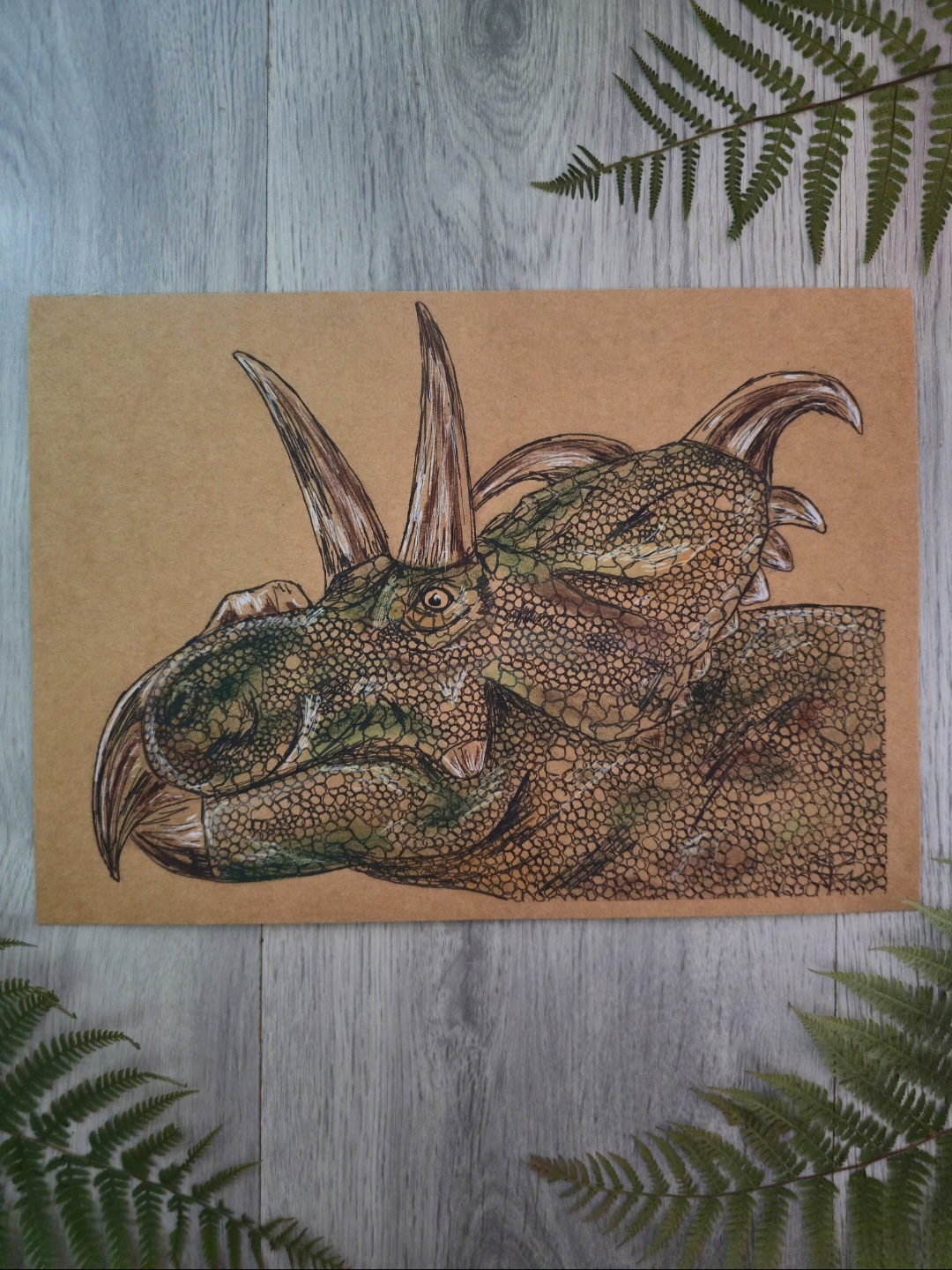 Albertaceratops