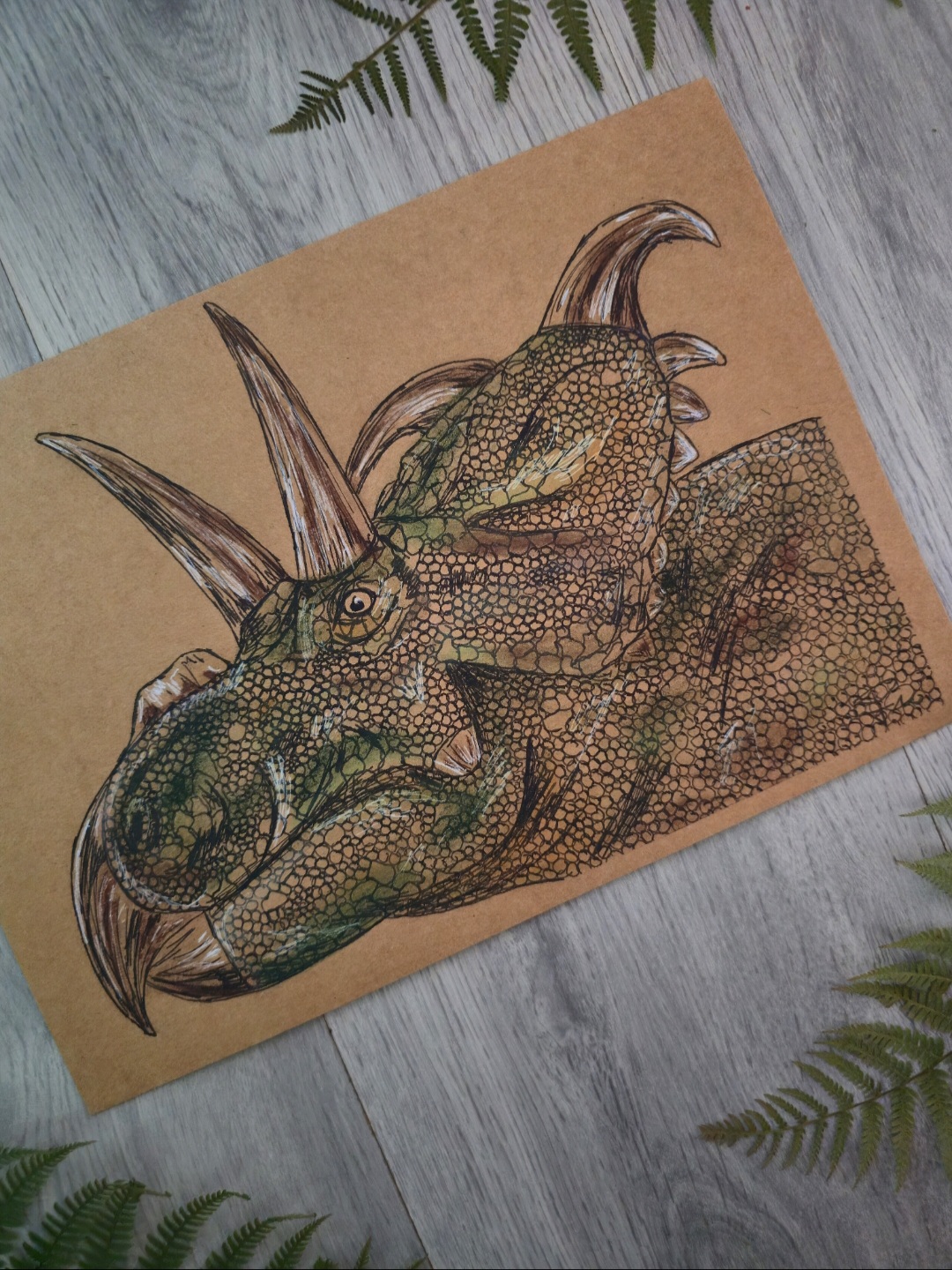 Albertaceratops