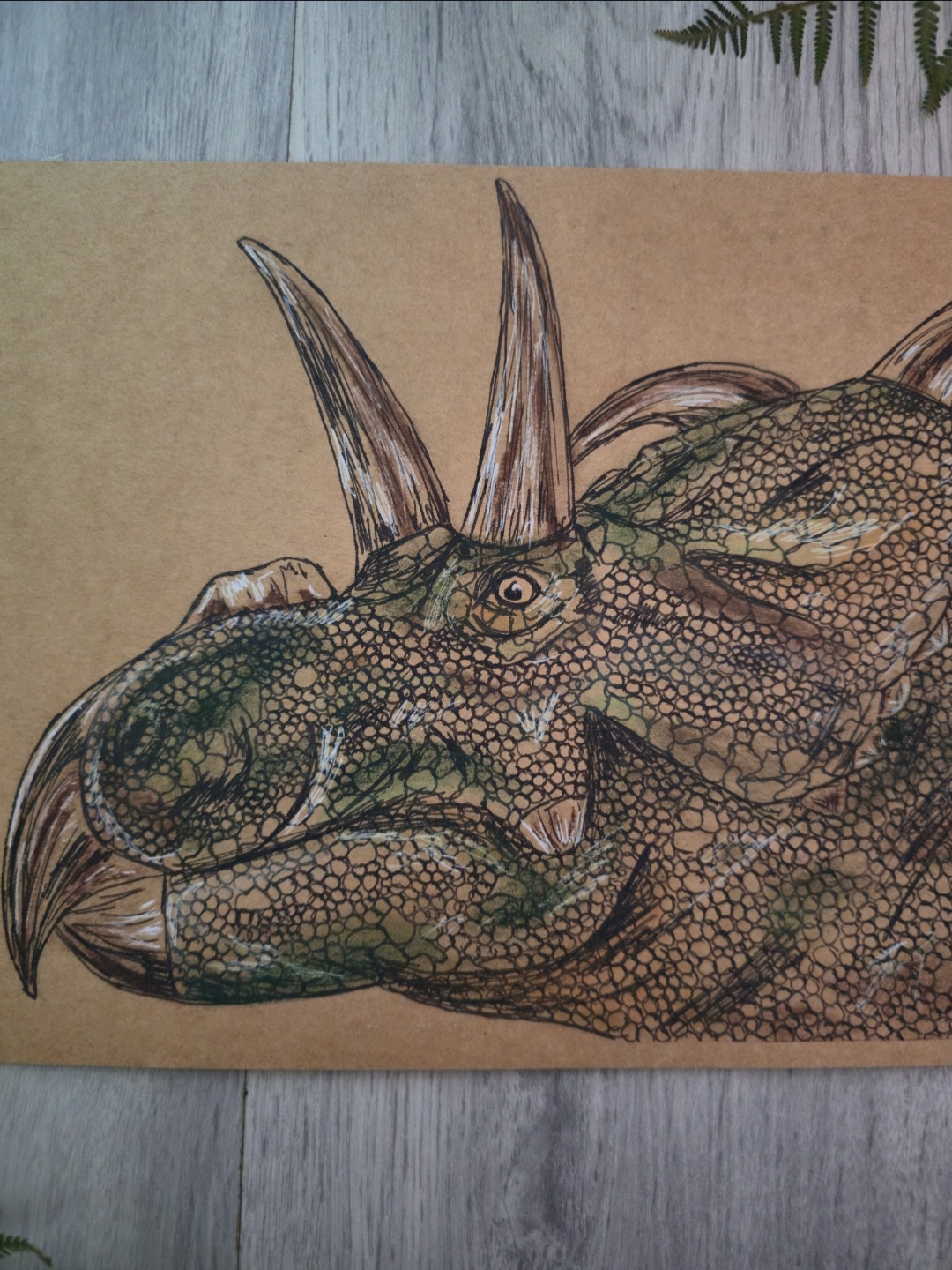Albertaceratops