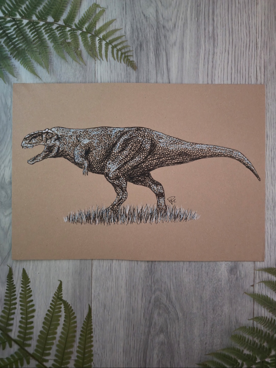 Carcharodontosaurus