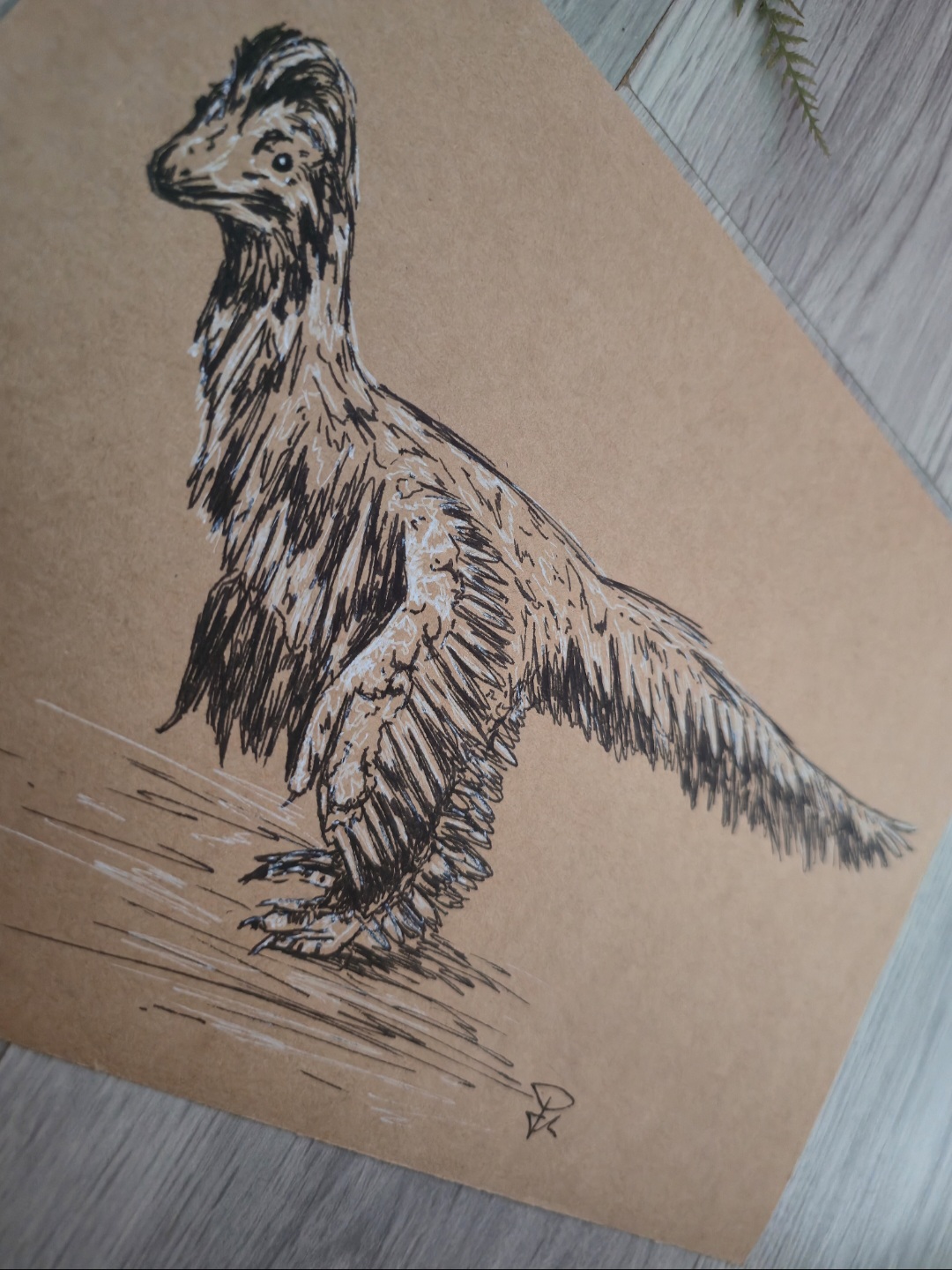 Anchiornis