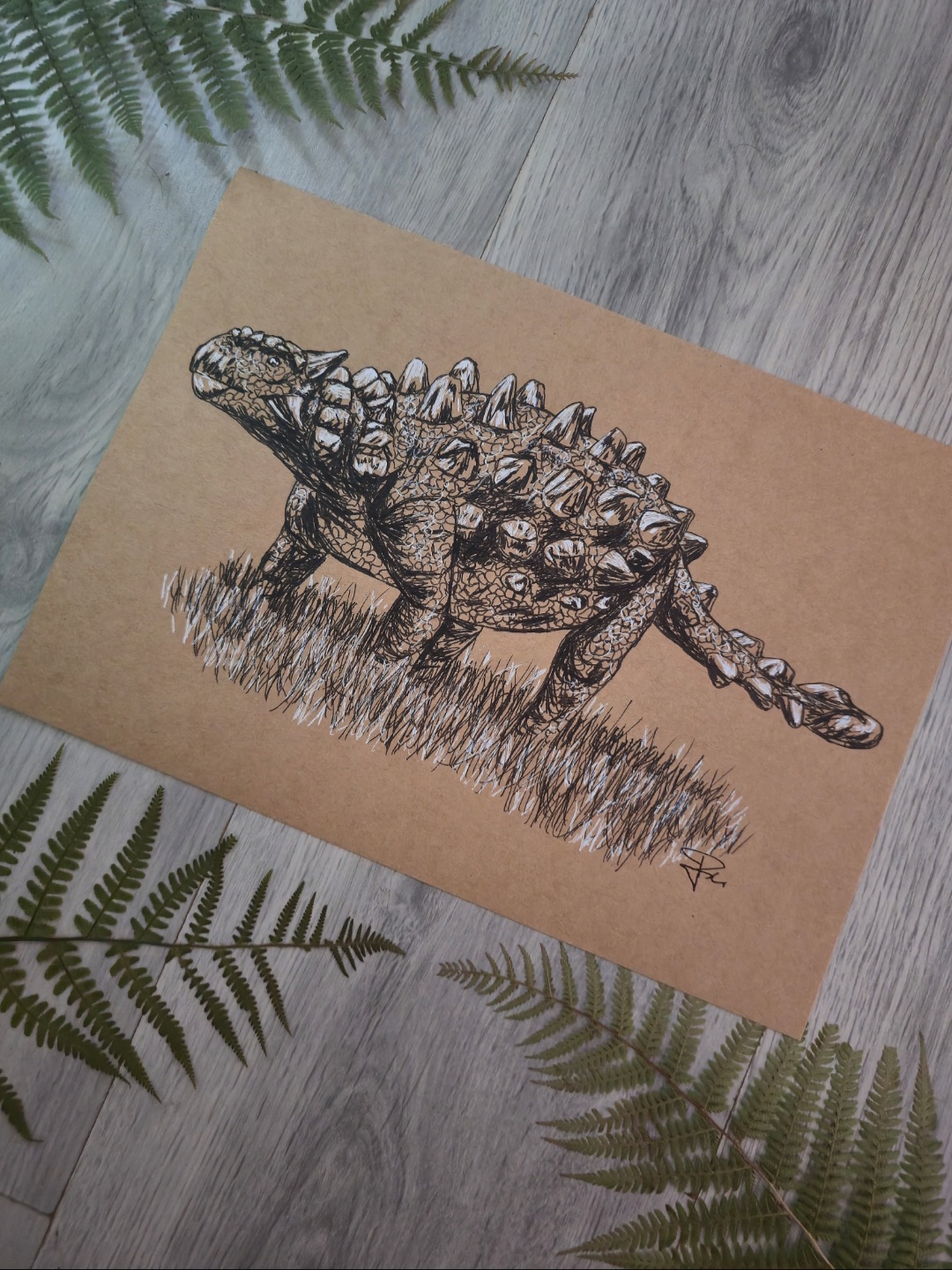Minotaurasaurus