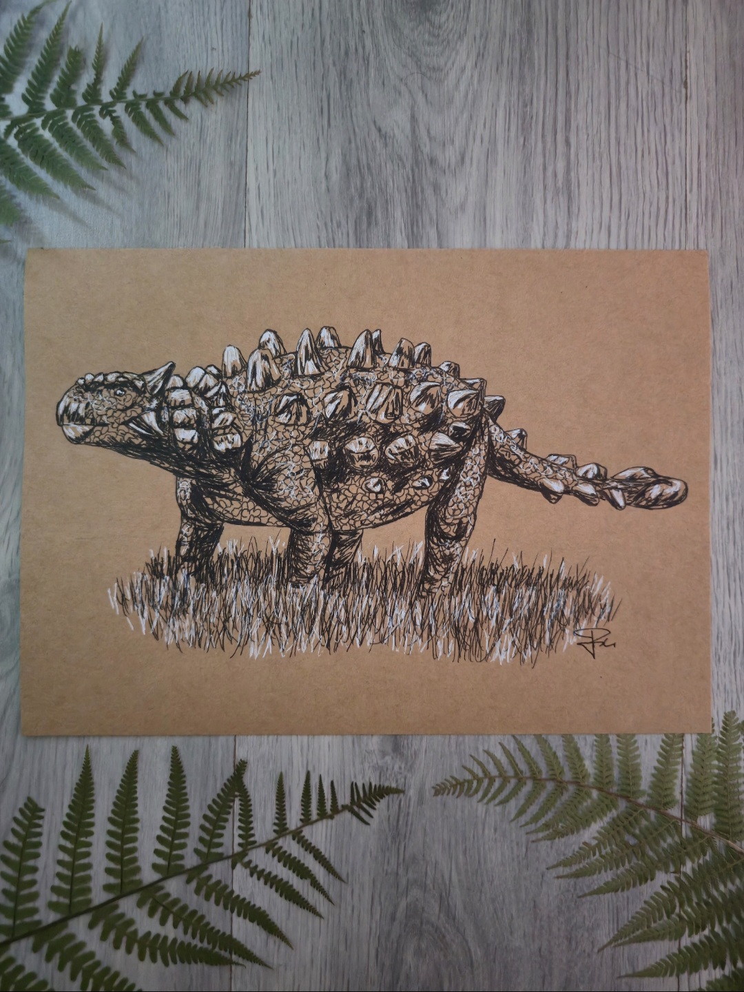 Minotaurasaurus