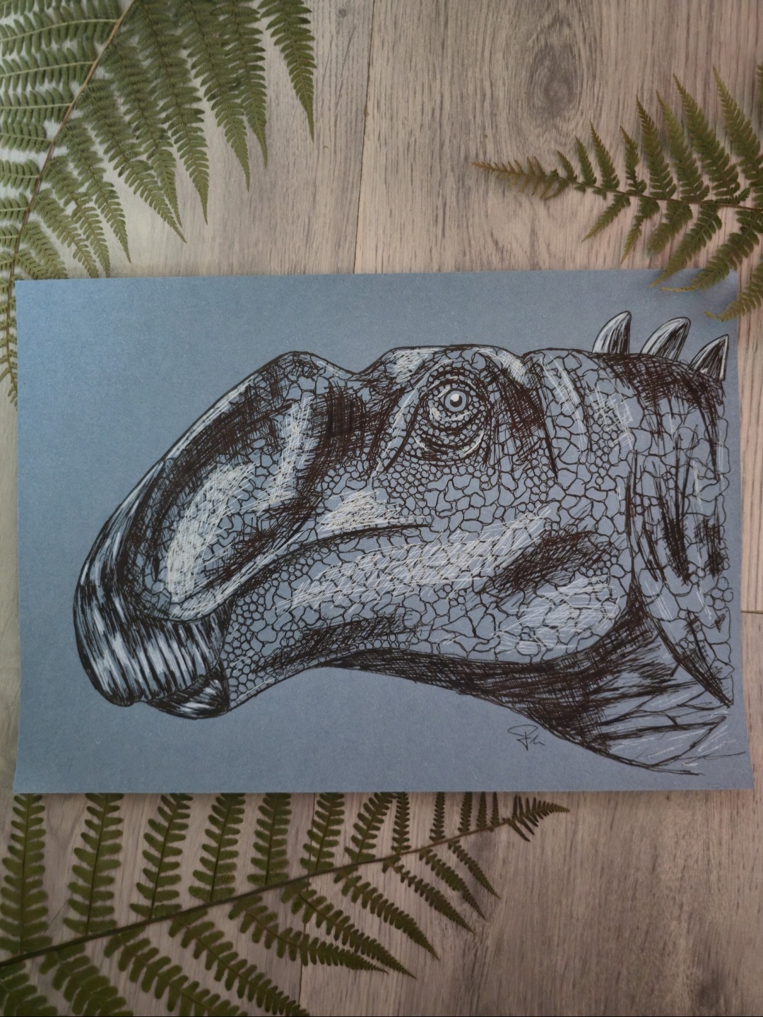 Coahuilasaurus