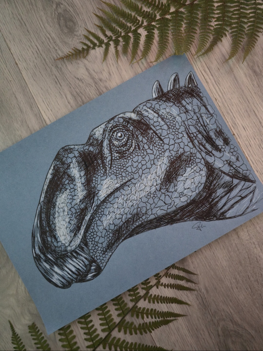 Coahuilasaurus
