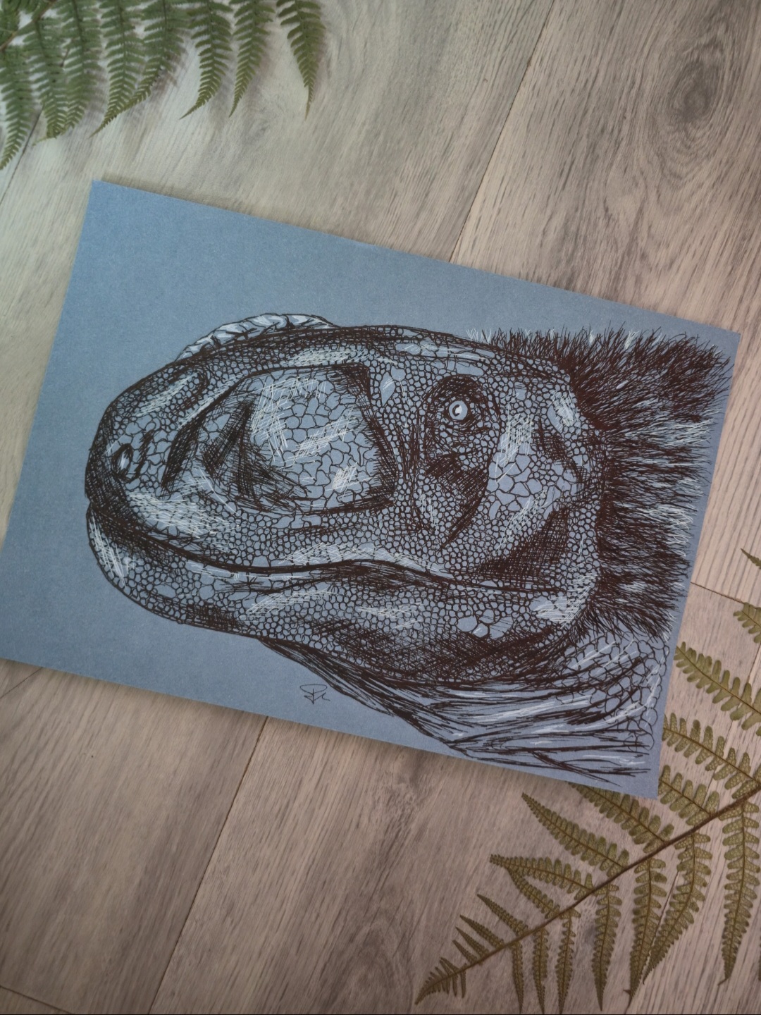 Rugops