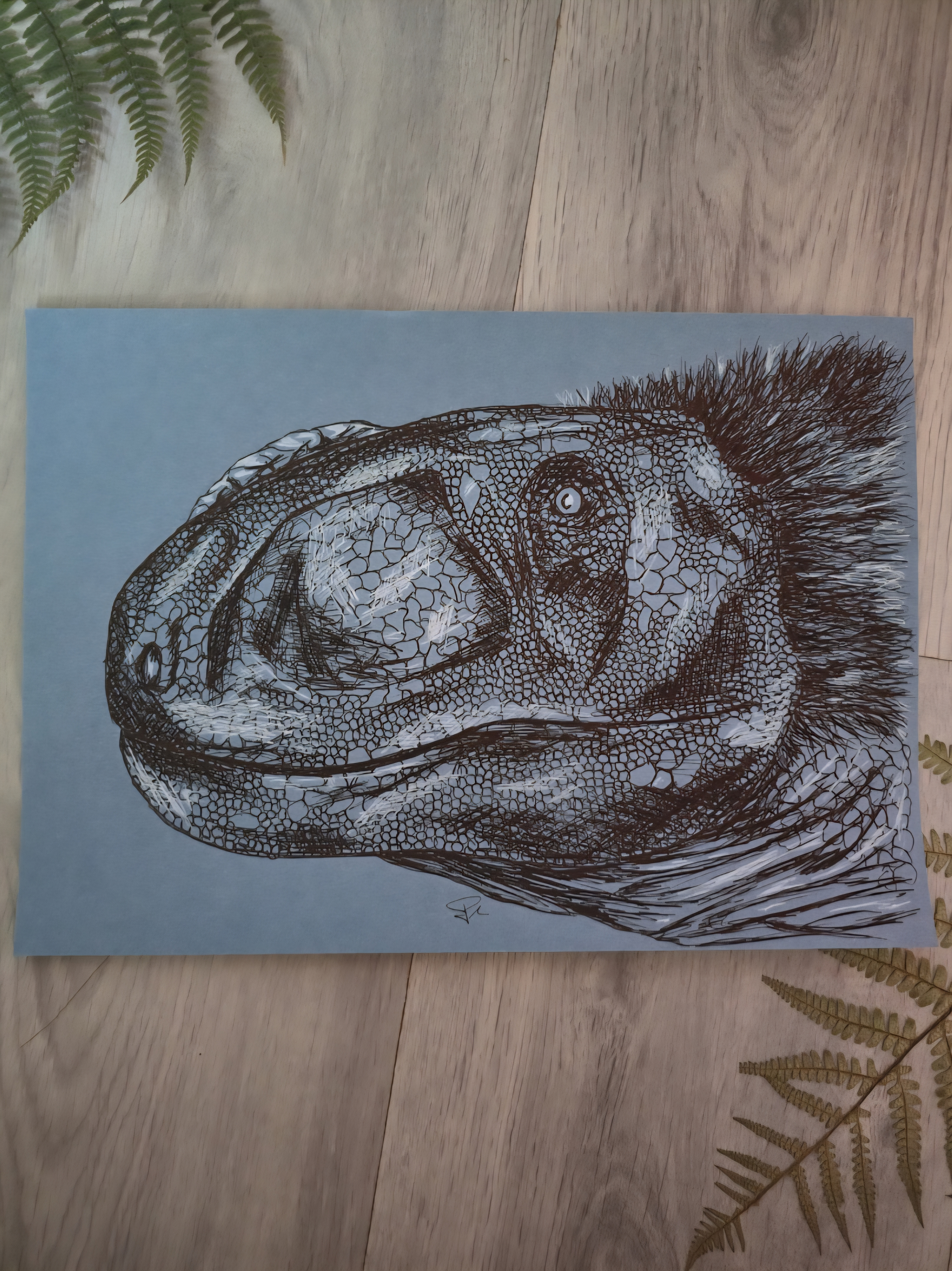 Rugops