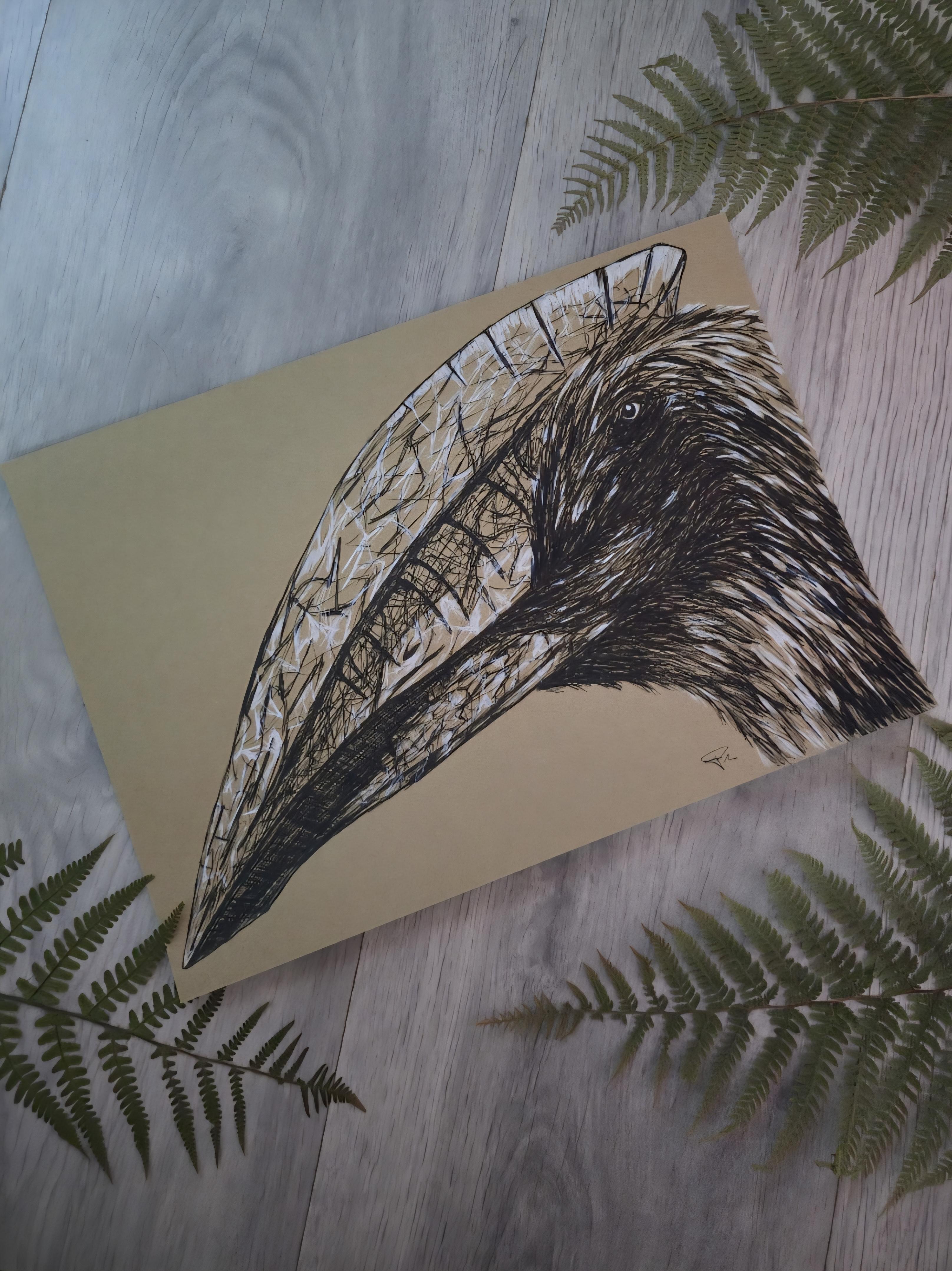 Hatzegopteryx