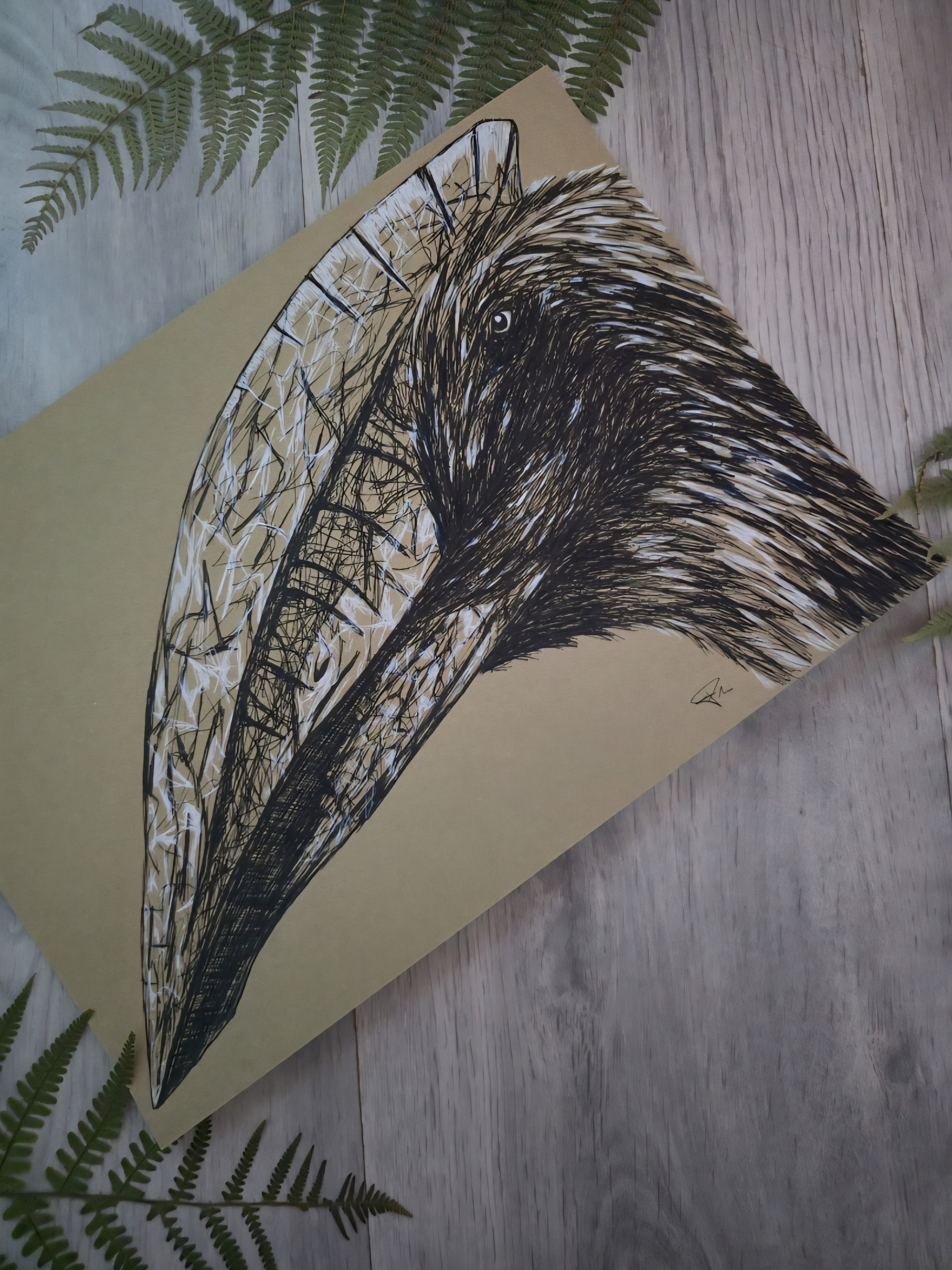Hatzegopteryx