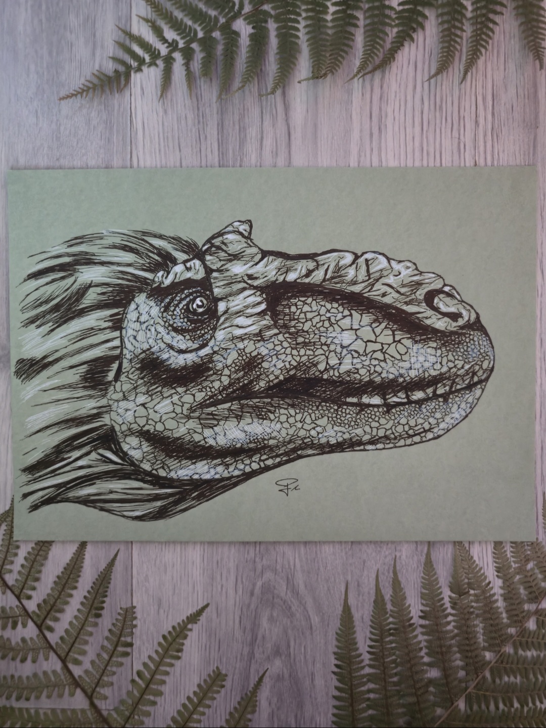 Metriacanthosaurus