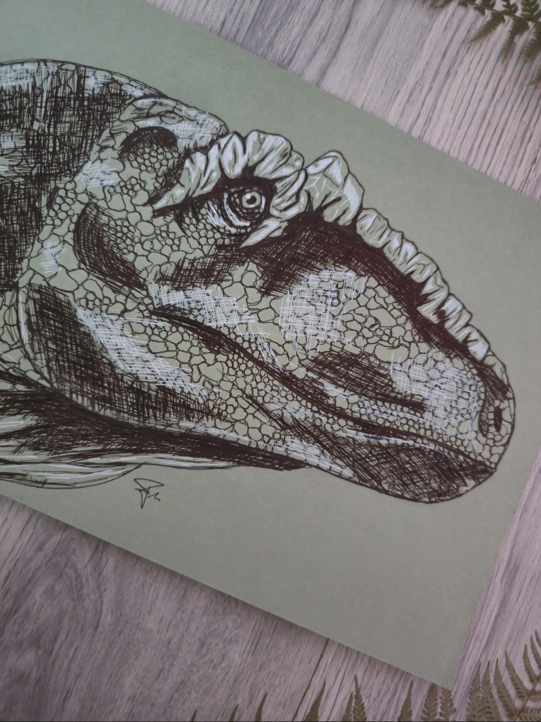 Piatnitzkysaurus