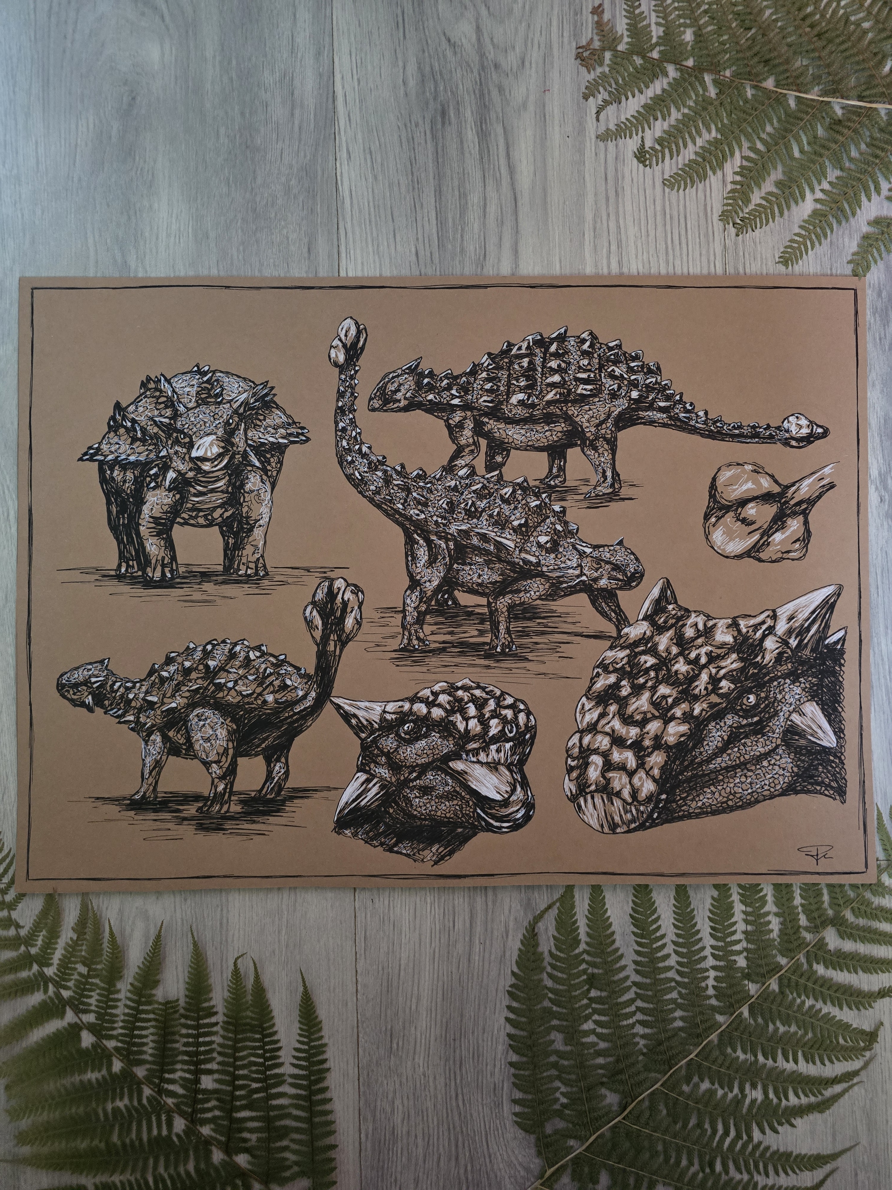Ankylosaurus