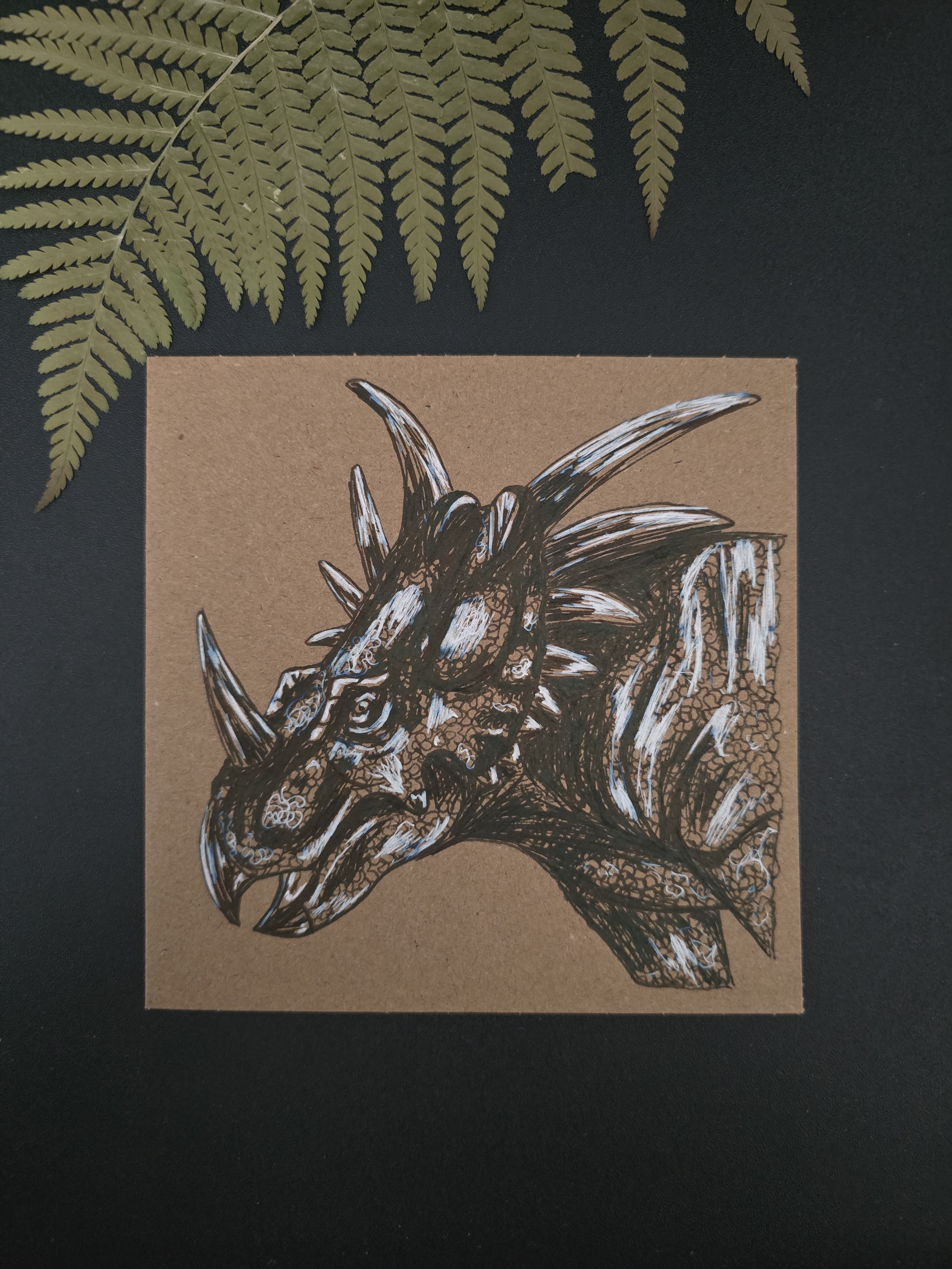 Styracosaurus Postcard