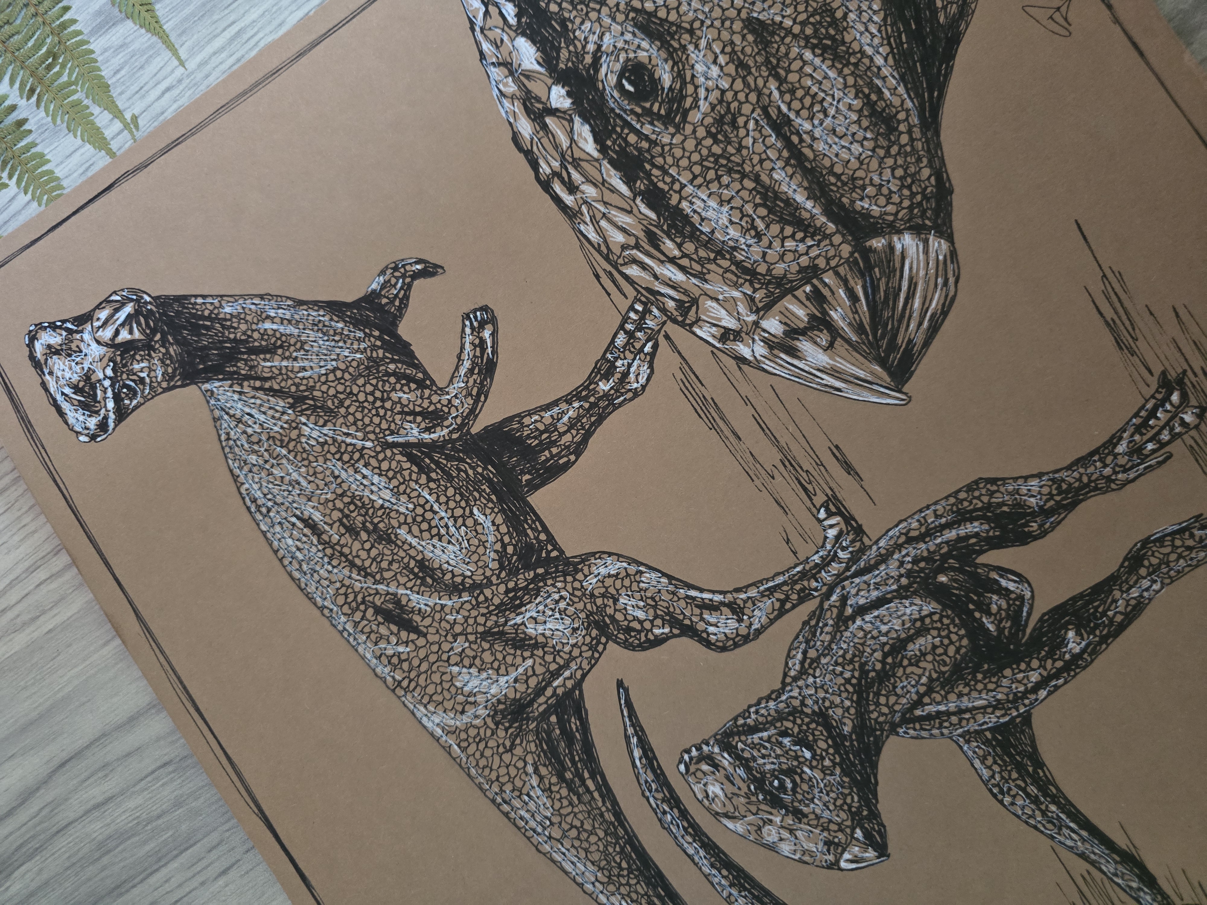 Homalocephale