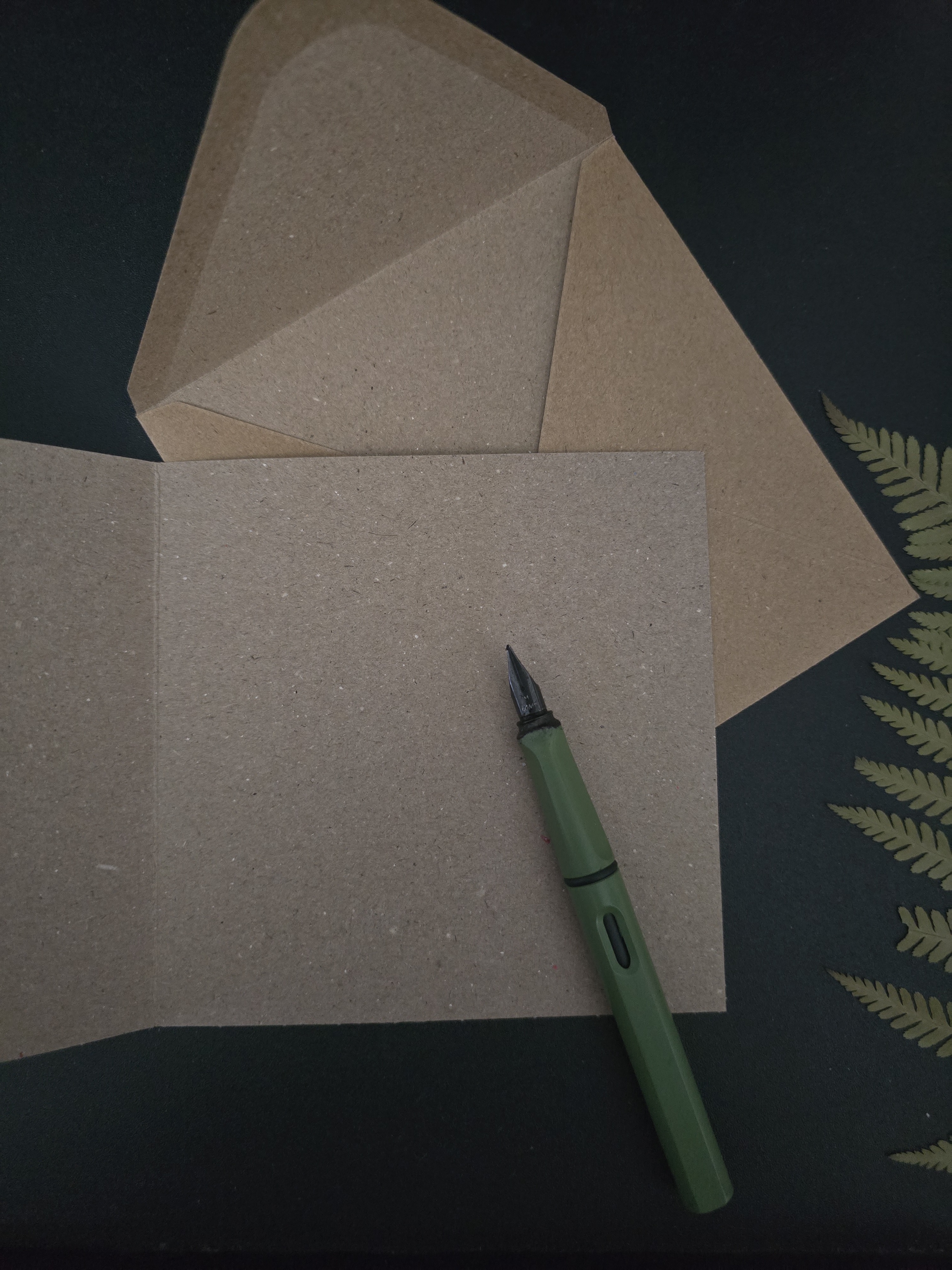 Ceratosaurus Postcard