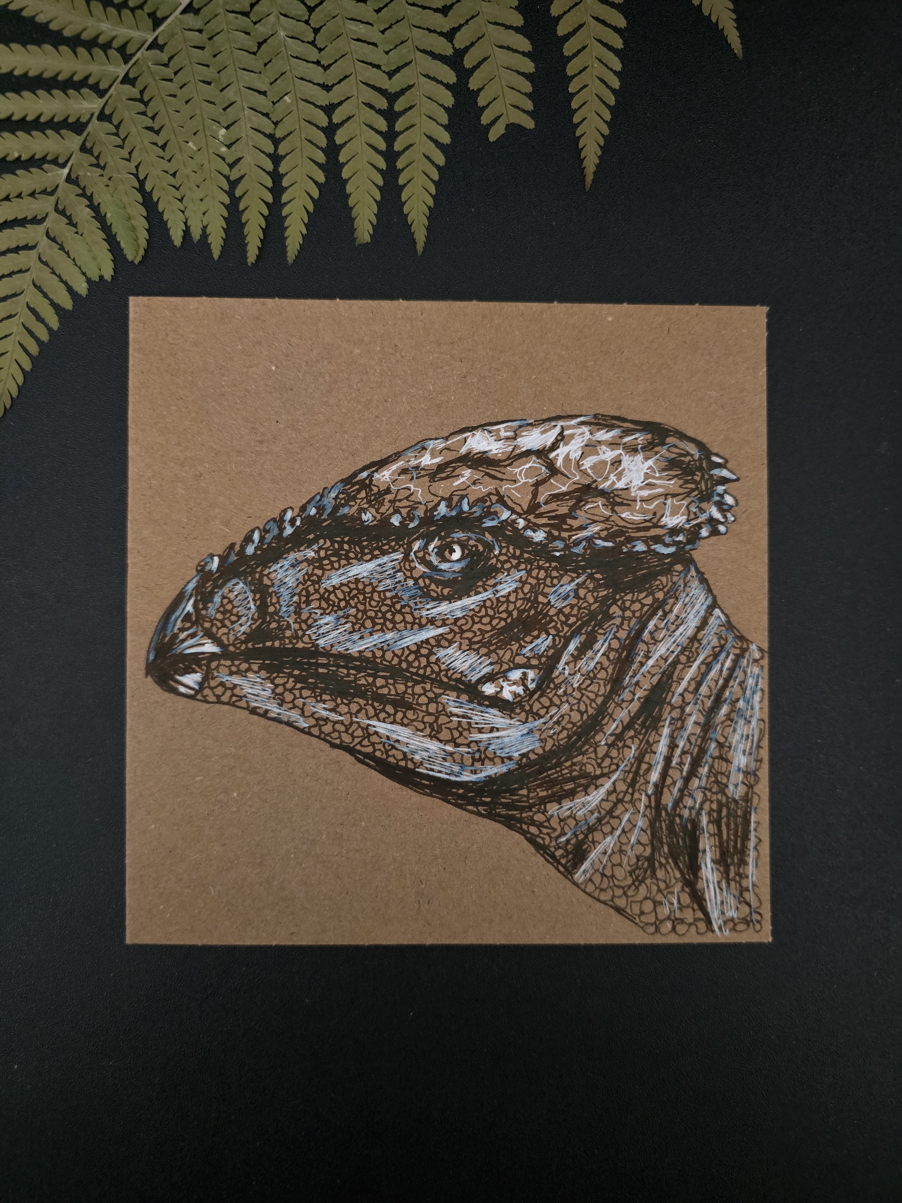 Wannanosaurus Postcard