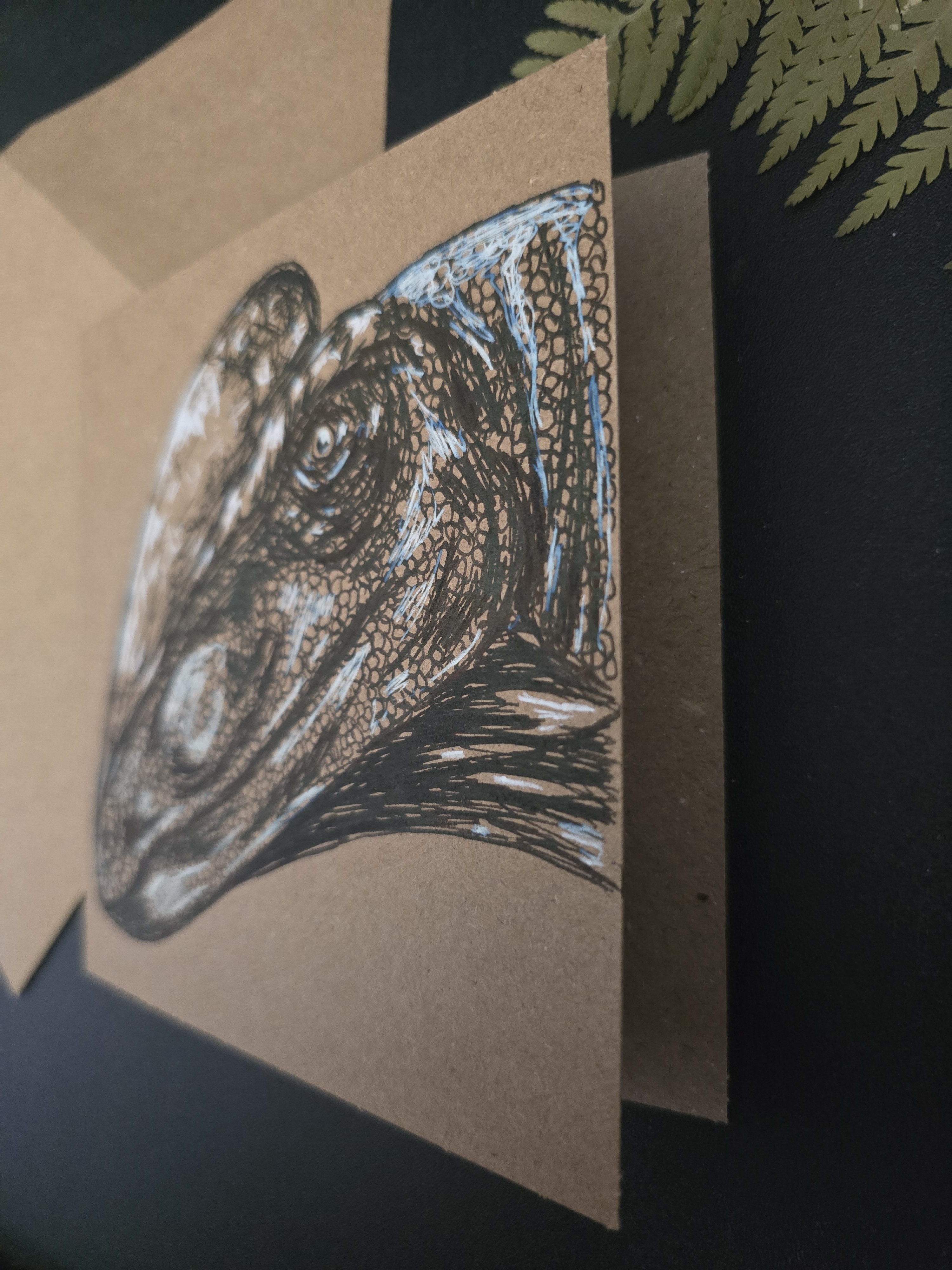 Megapnosaurus Postcard