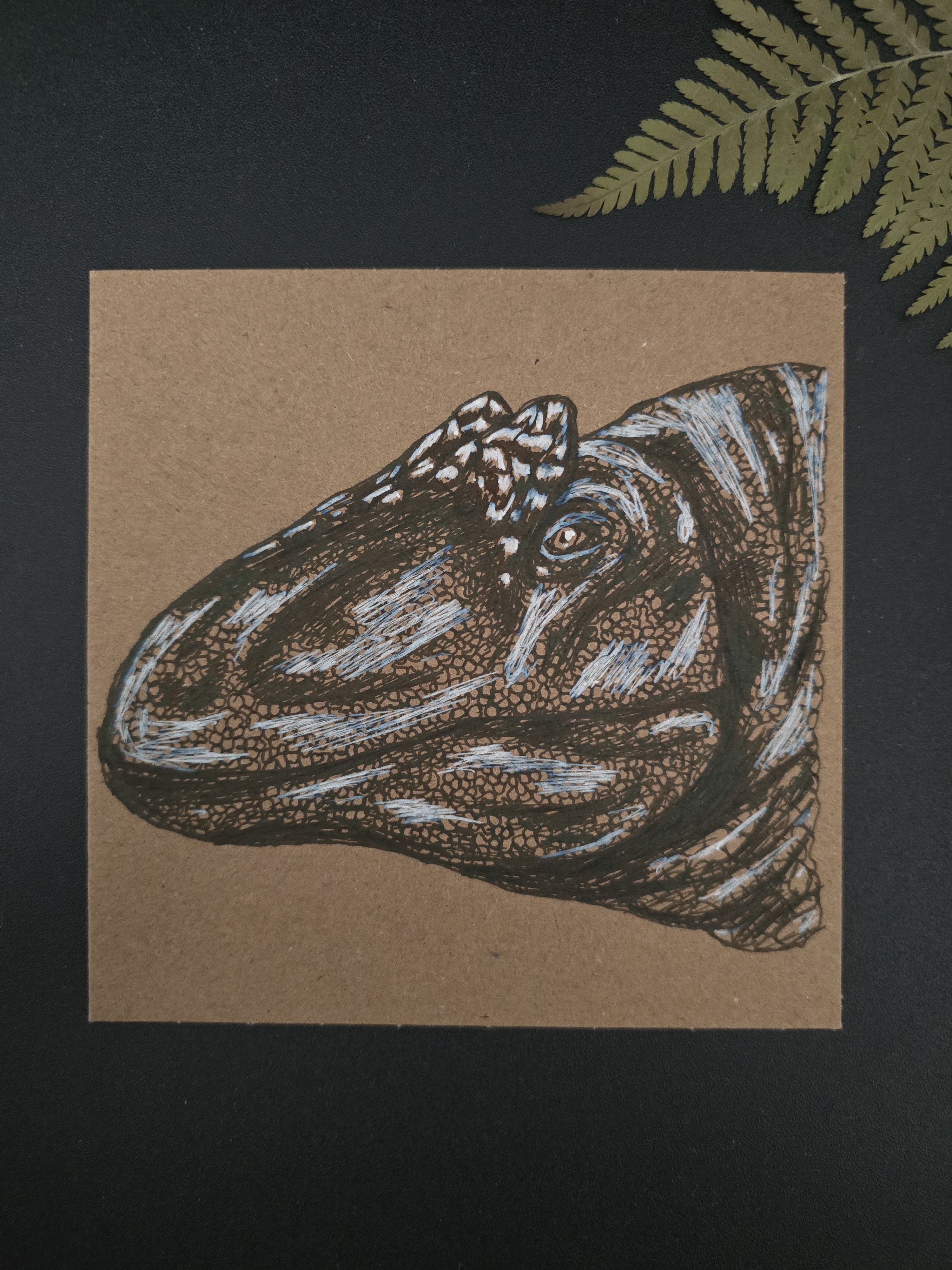 Allosaurus Postcard