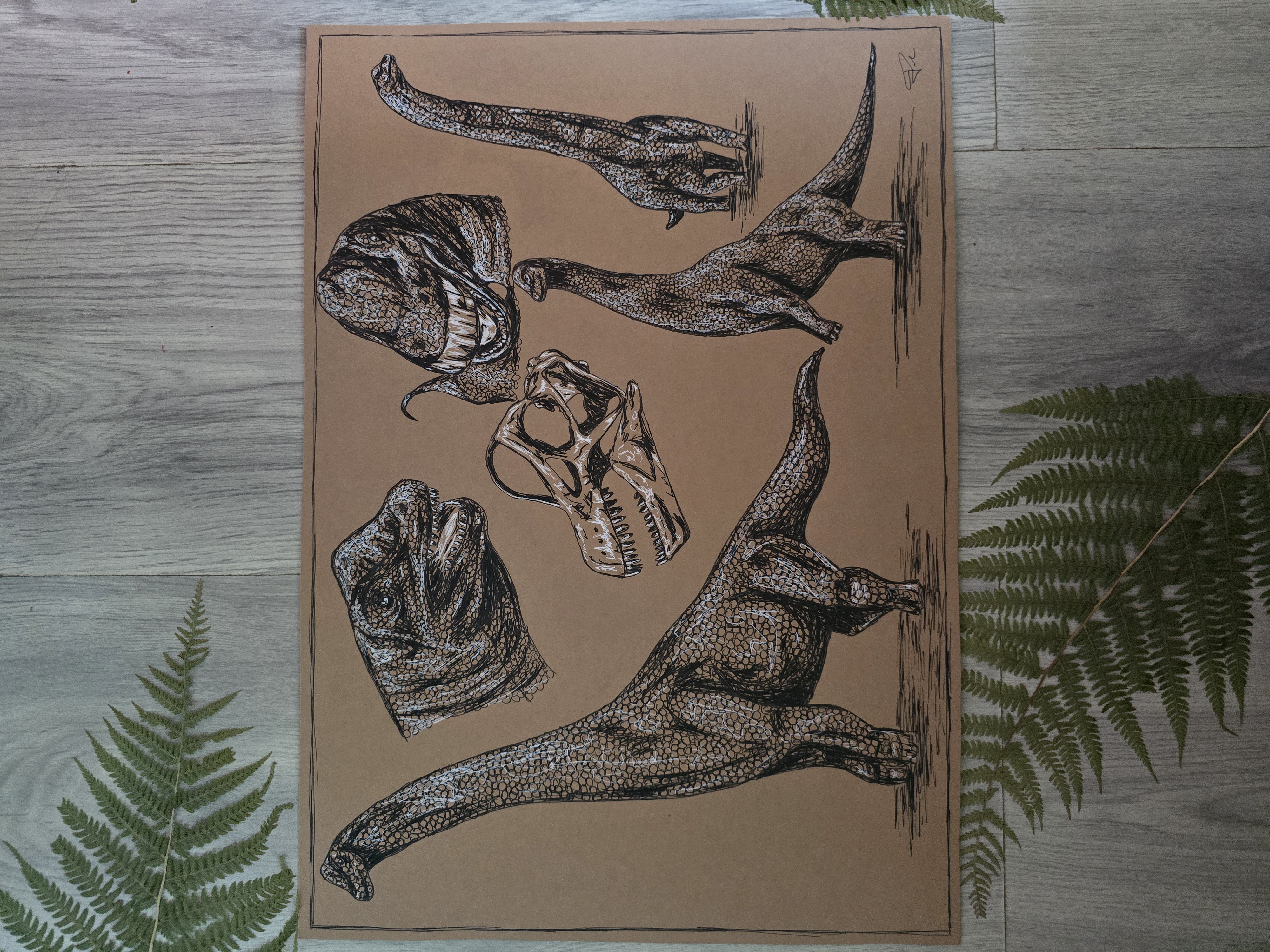 Brachiosaurus