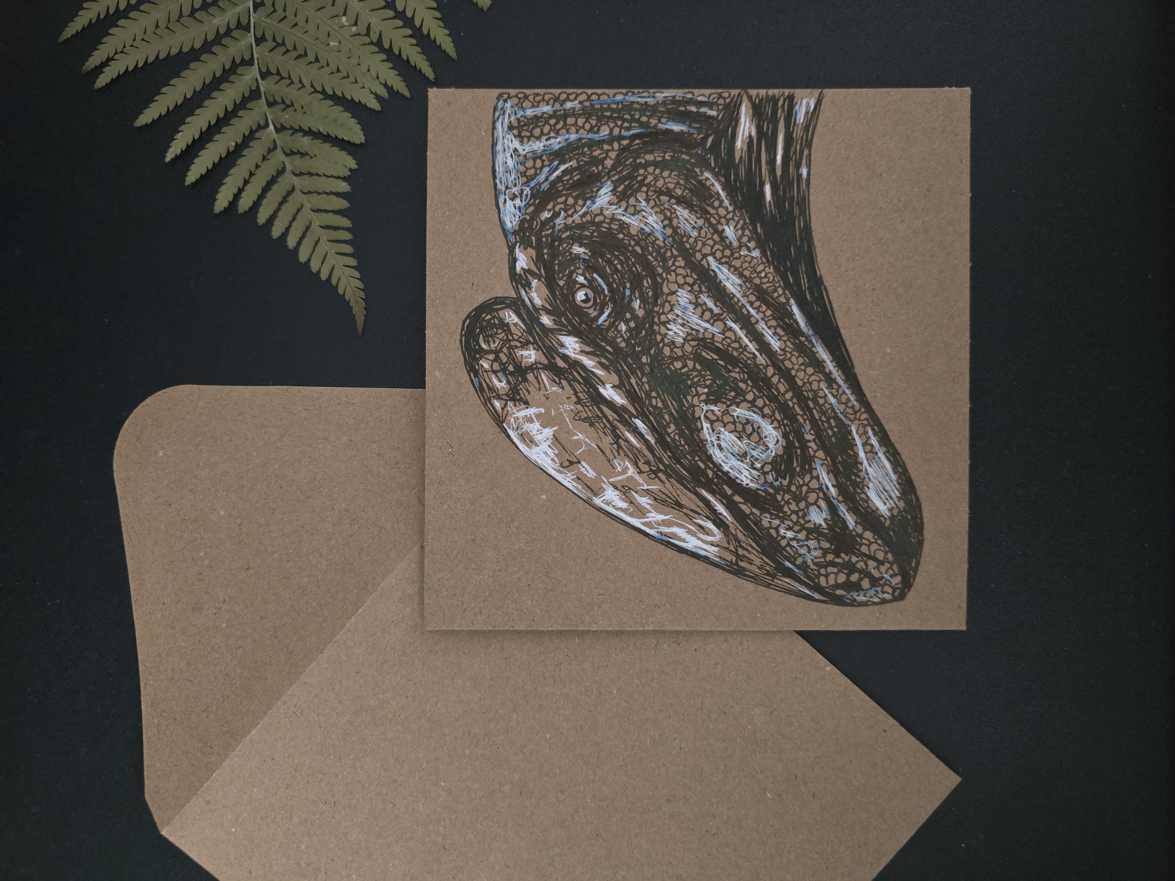 Megapnosaurus Postcard