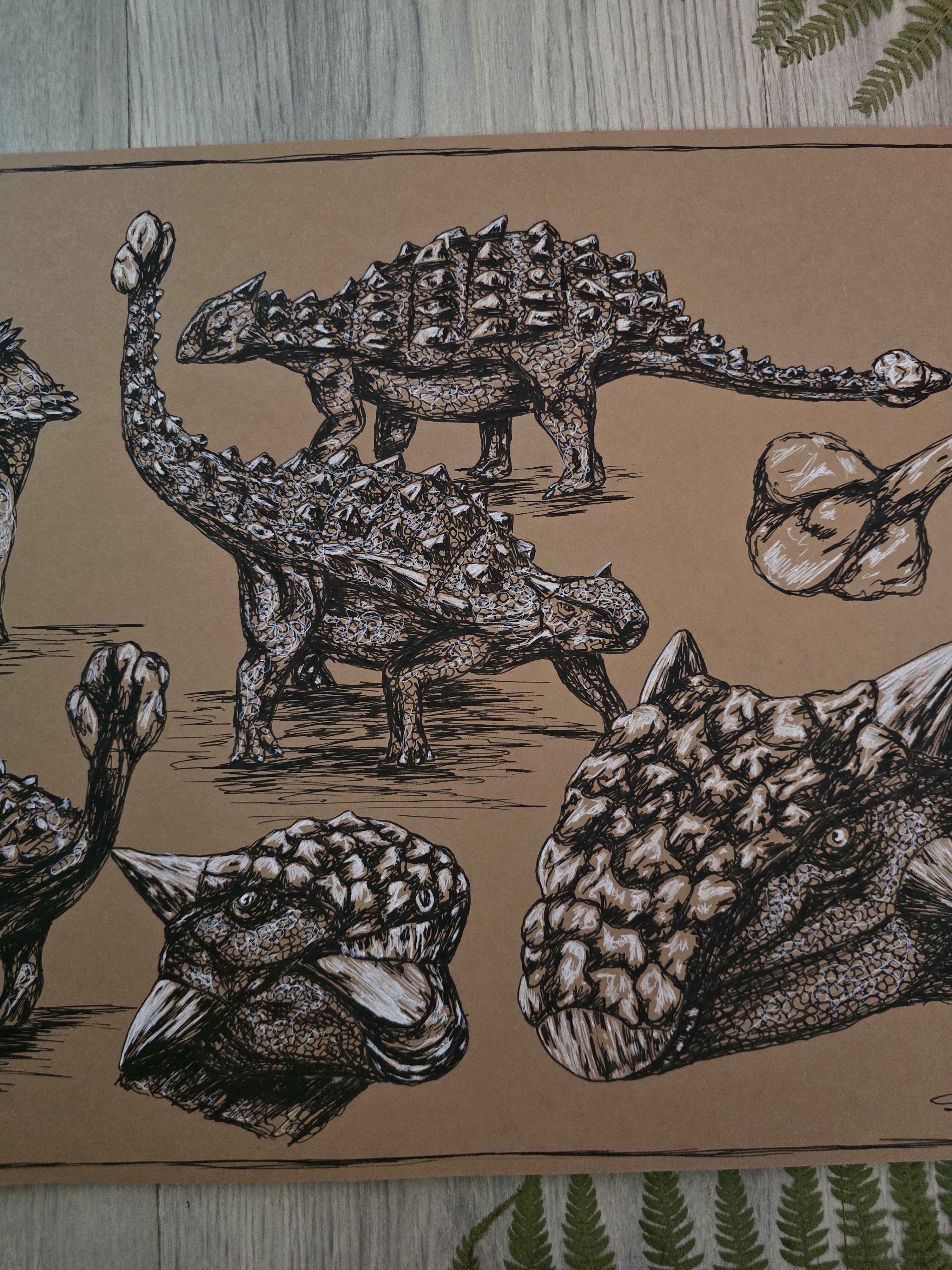 Ankylosaurus