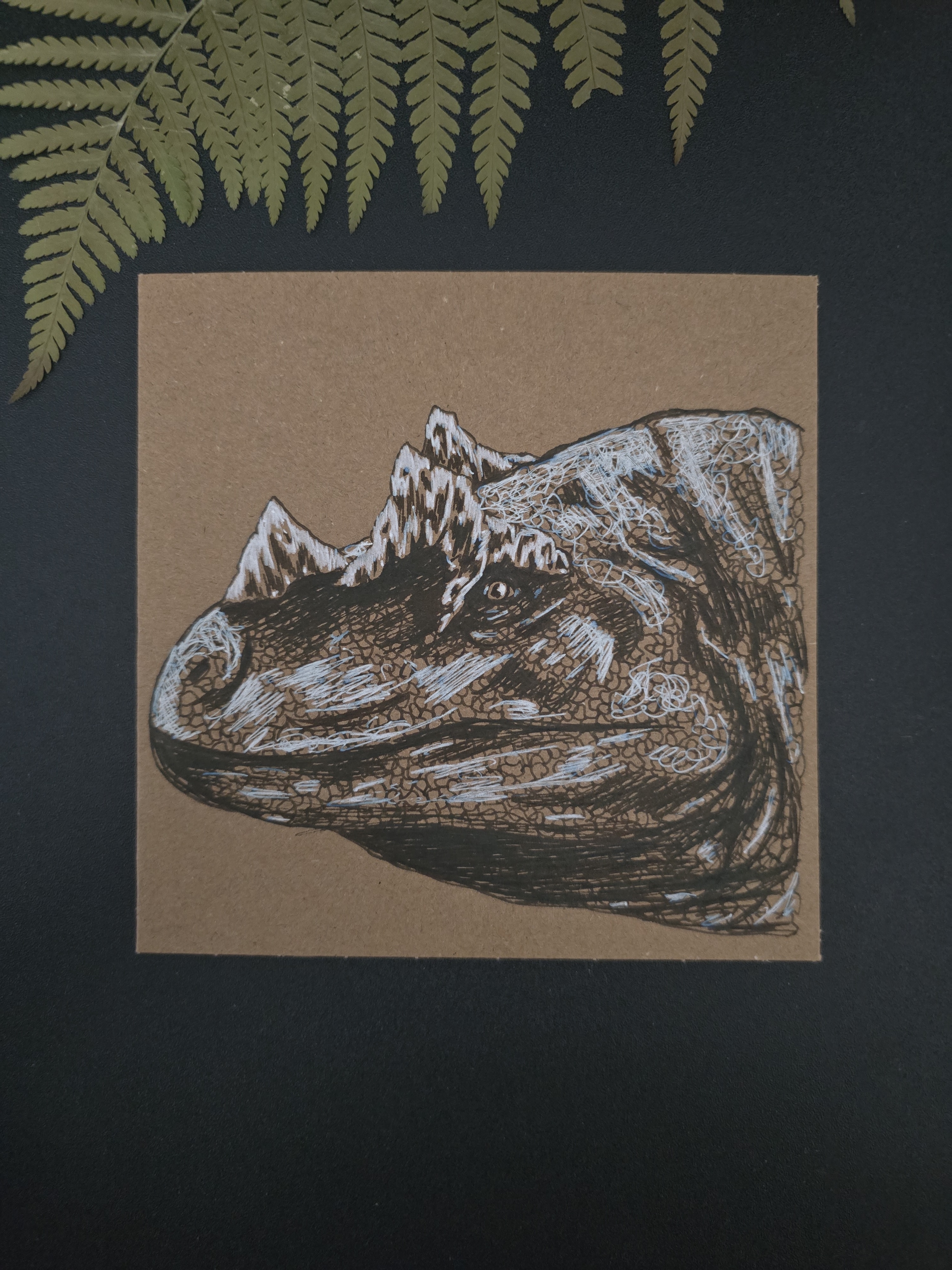 Ceratosaurus Postcard