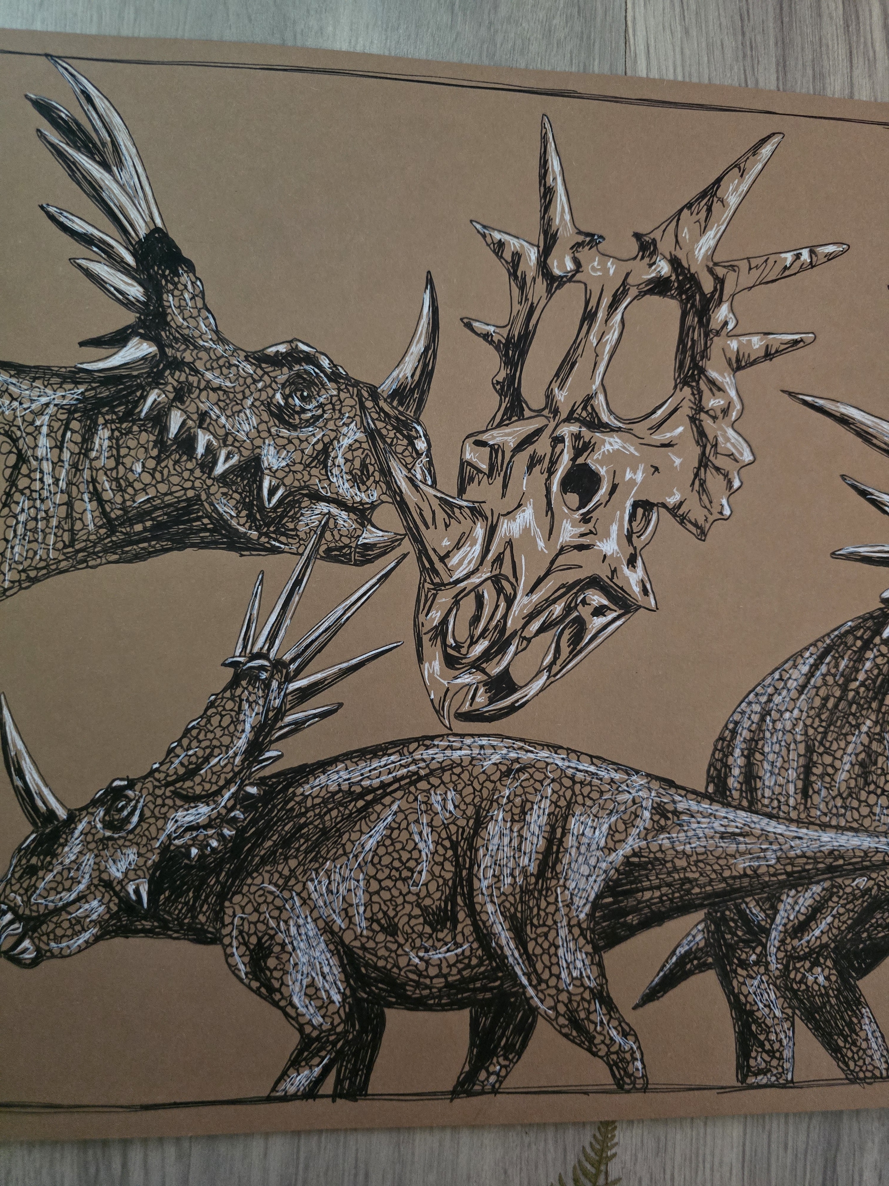 Styracosaurus