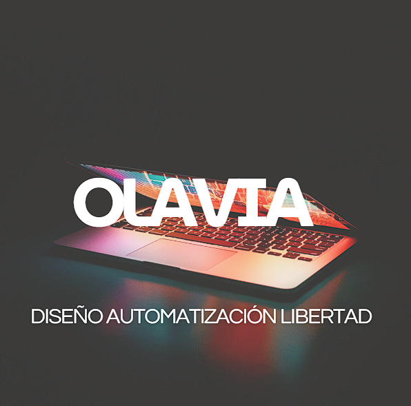 Plan Intermedio Web