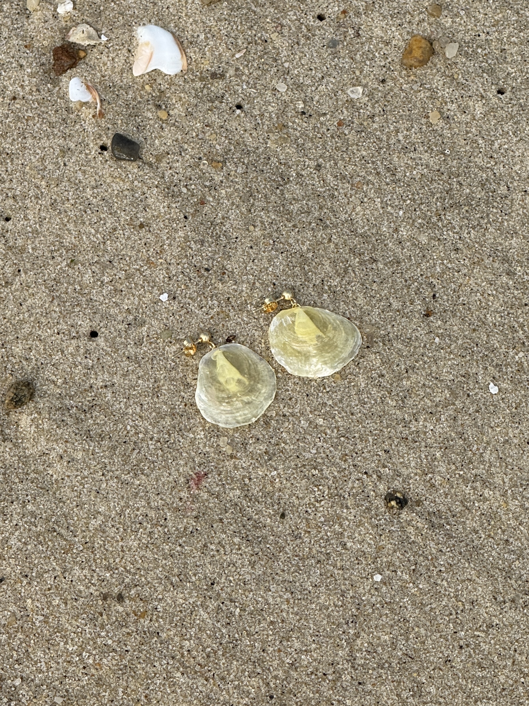 OCEANGOLD Classic Earrings