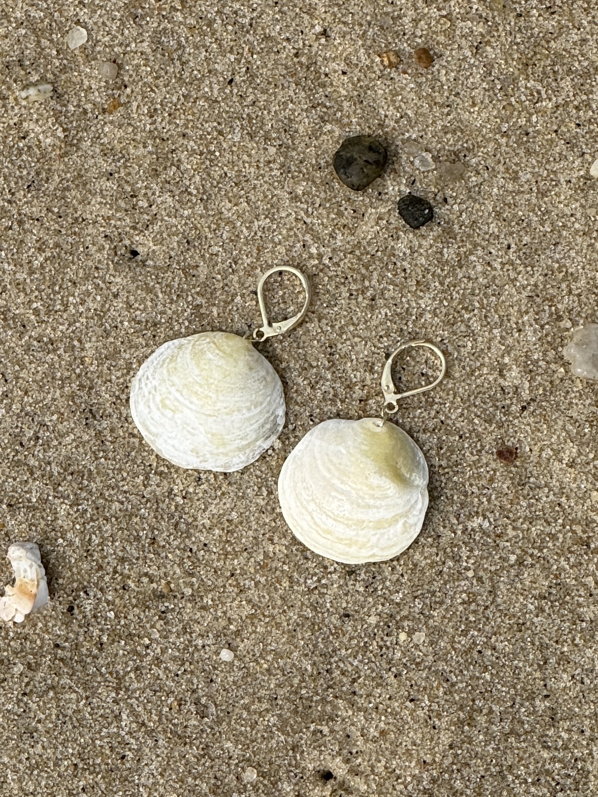 OCEANGOLD Classic Earrings