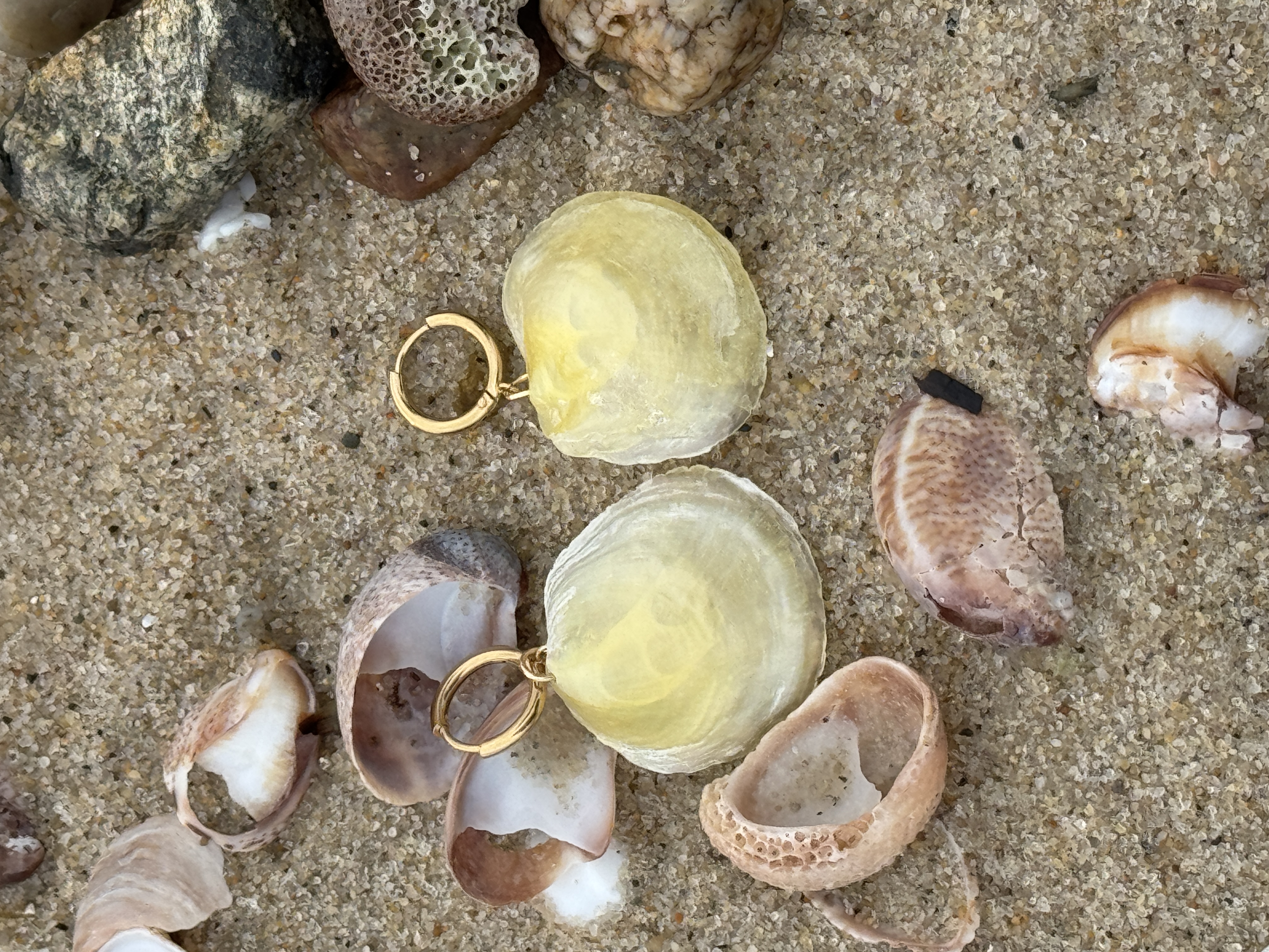 OCEANGOLD Classic Earrings