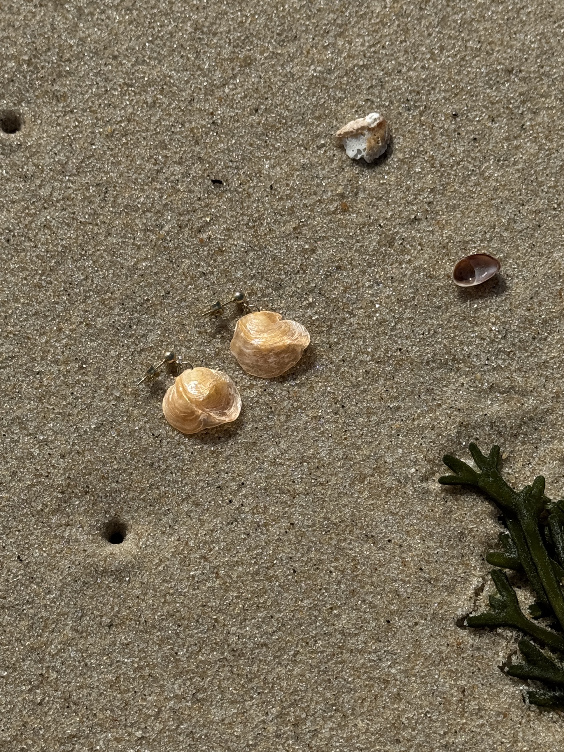 OCEANGOLD Classic Earrings