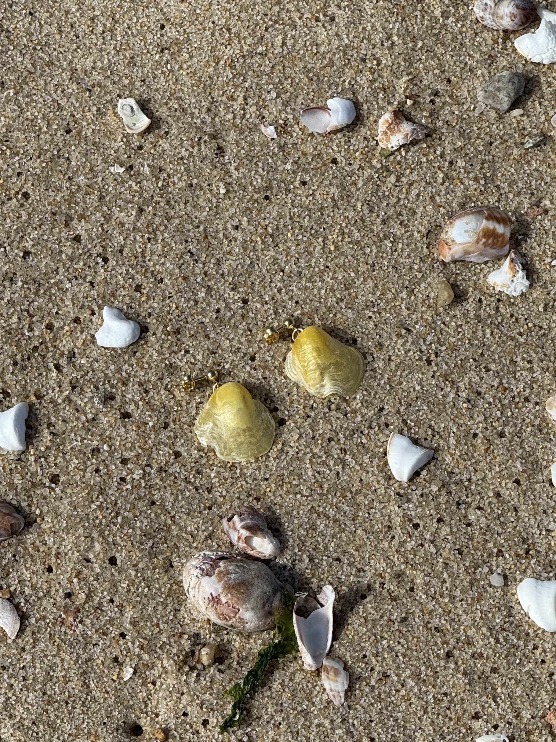 OCEANGOLD Classic Earrings