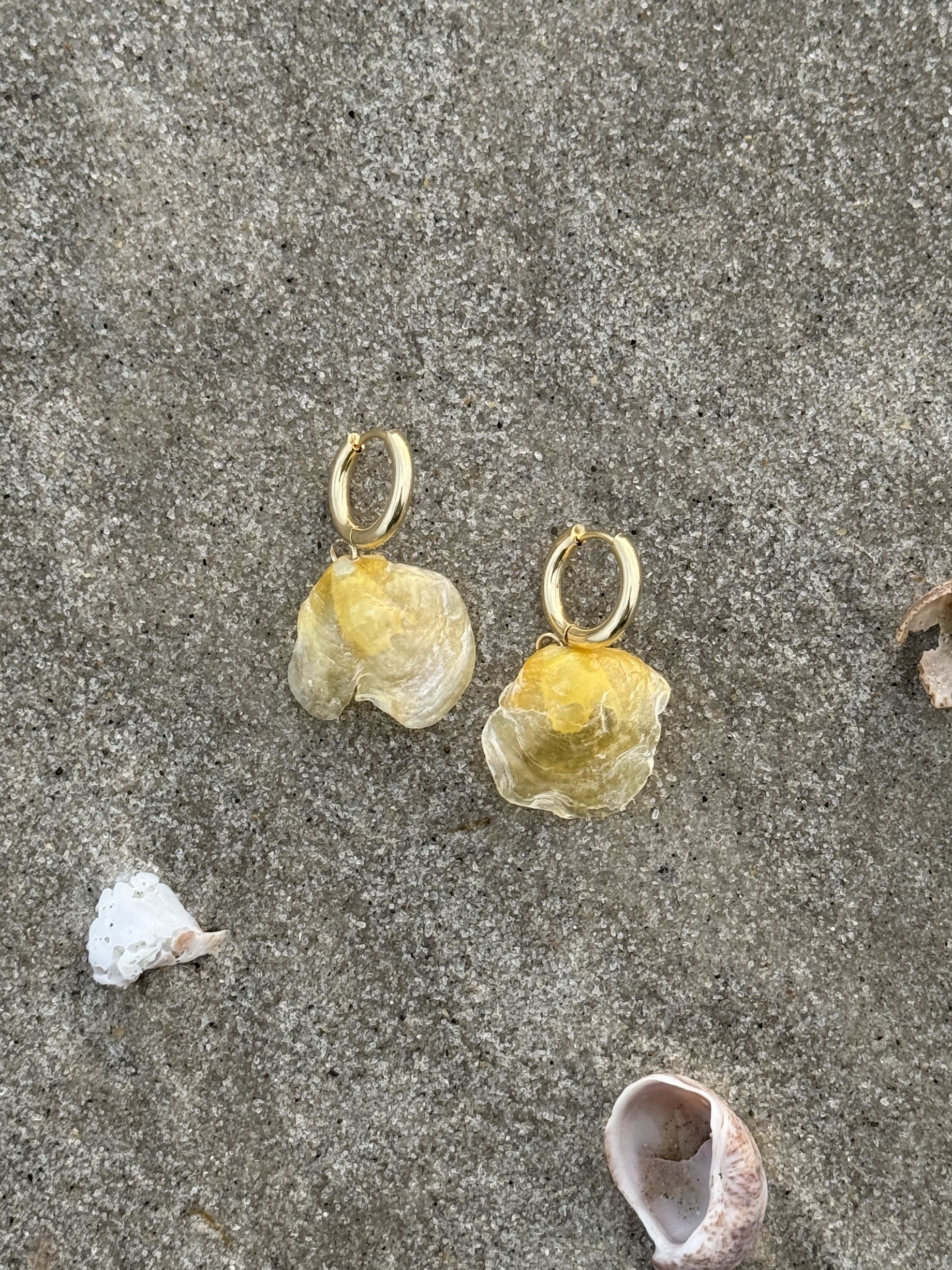 Oceangold Classic Earrings