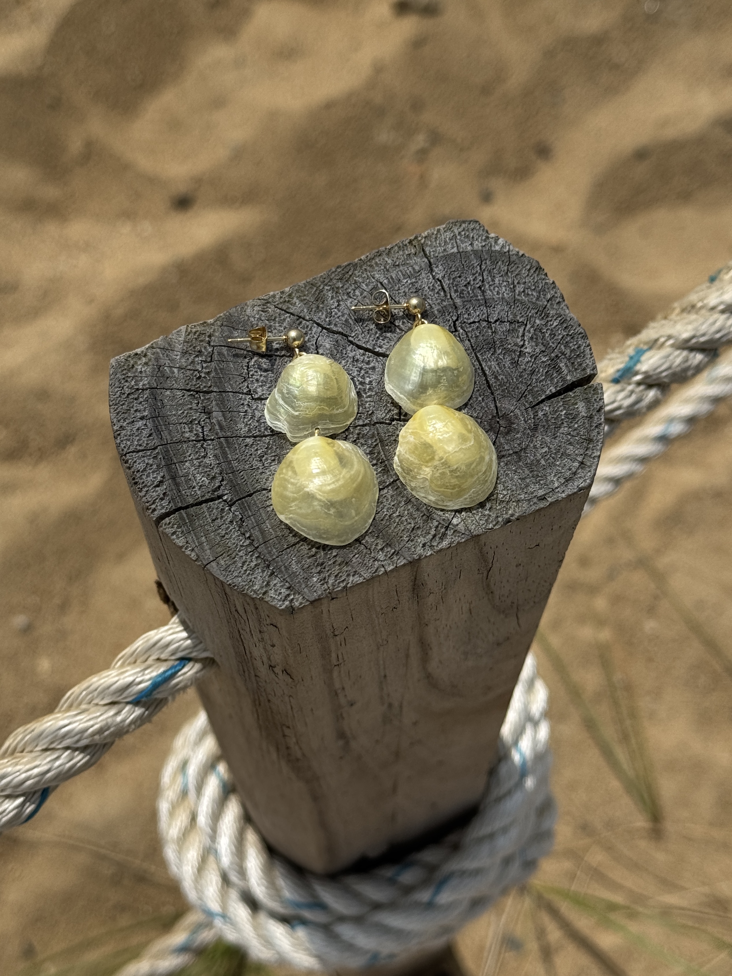 Oceangold Signature Earrings