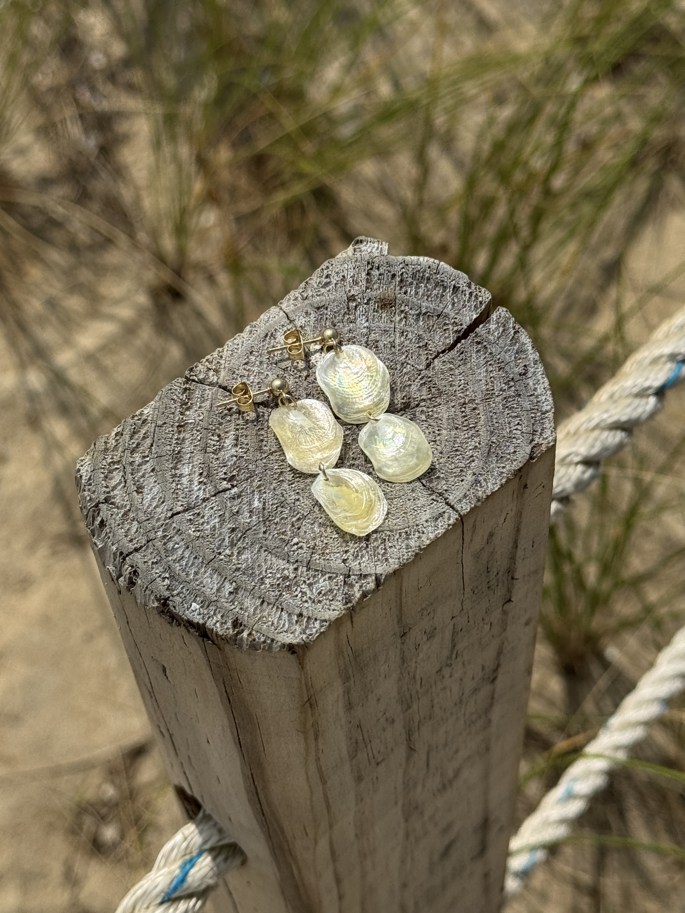 Oceangold Signature Earrings