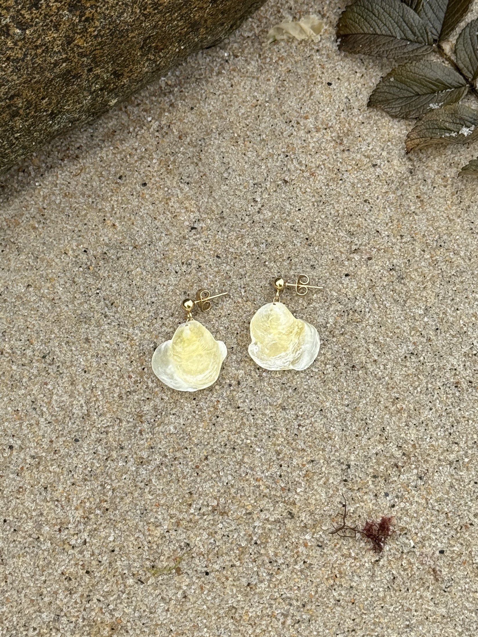 Oceangold Classic Earrings