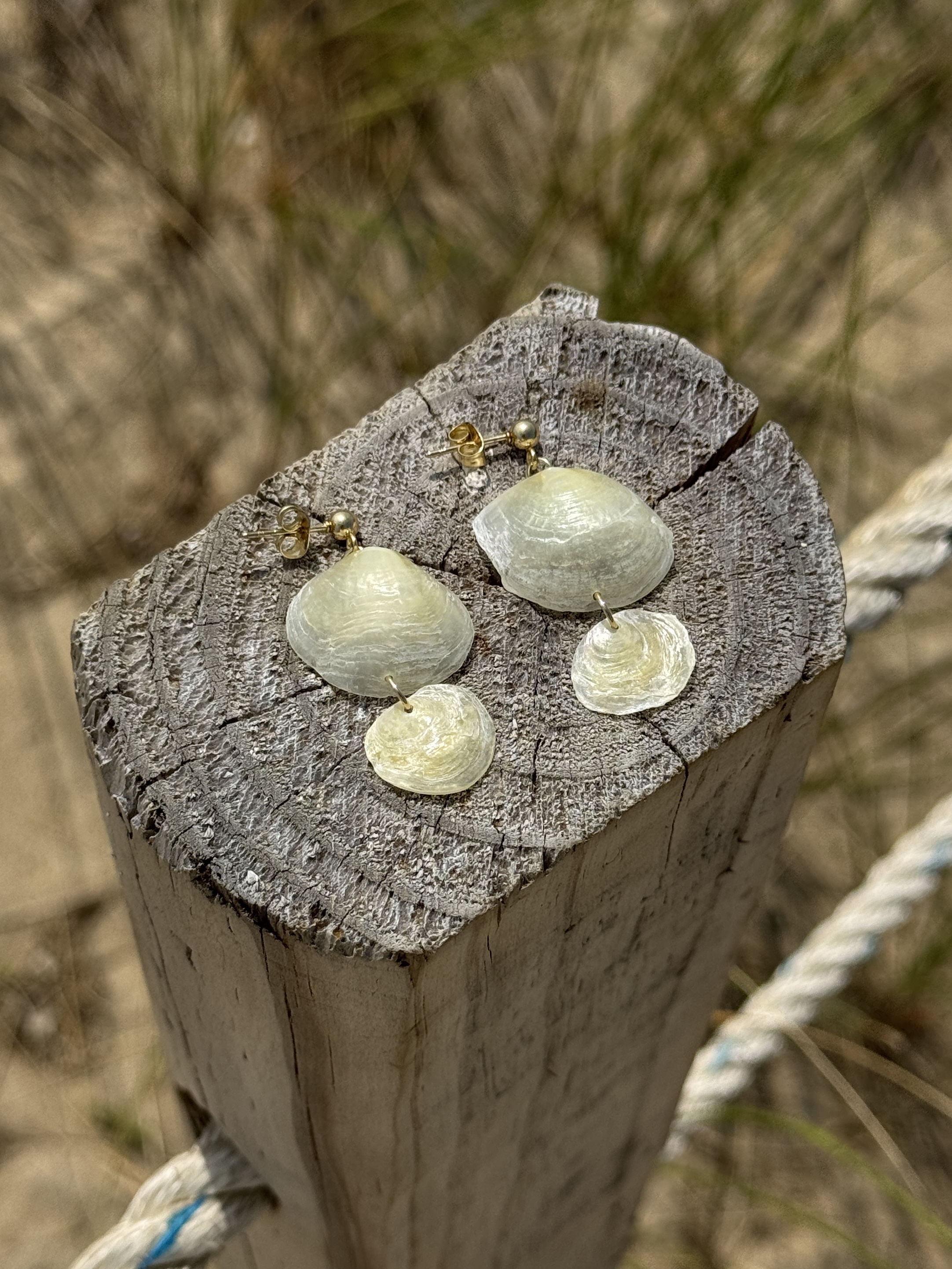 Oceangold Signature Earrings