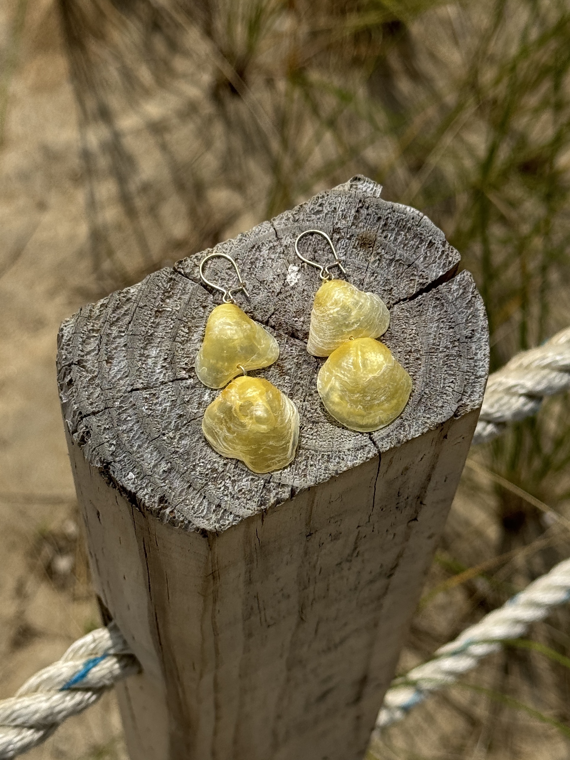 Oceangold Signature Earrings