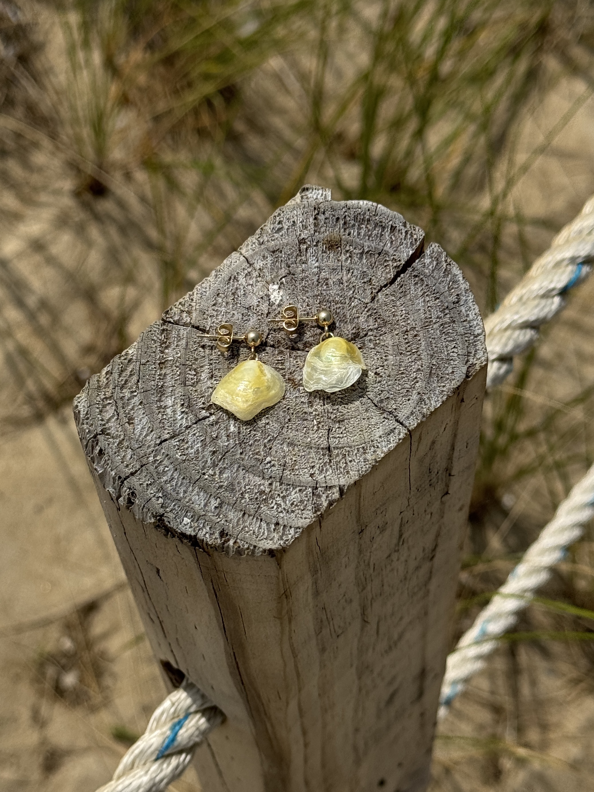 Oceangold Mini Earrings