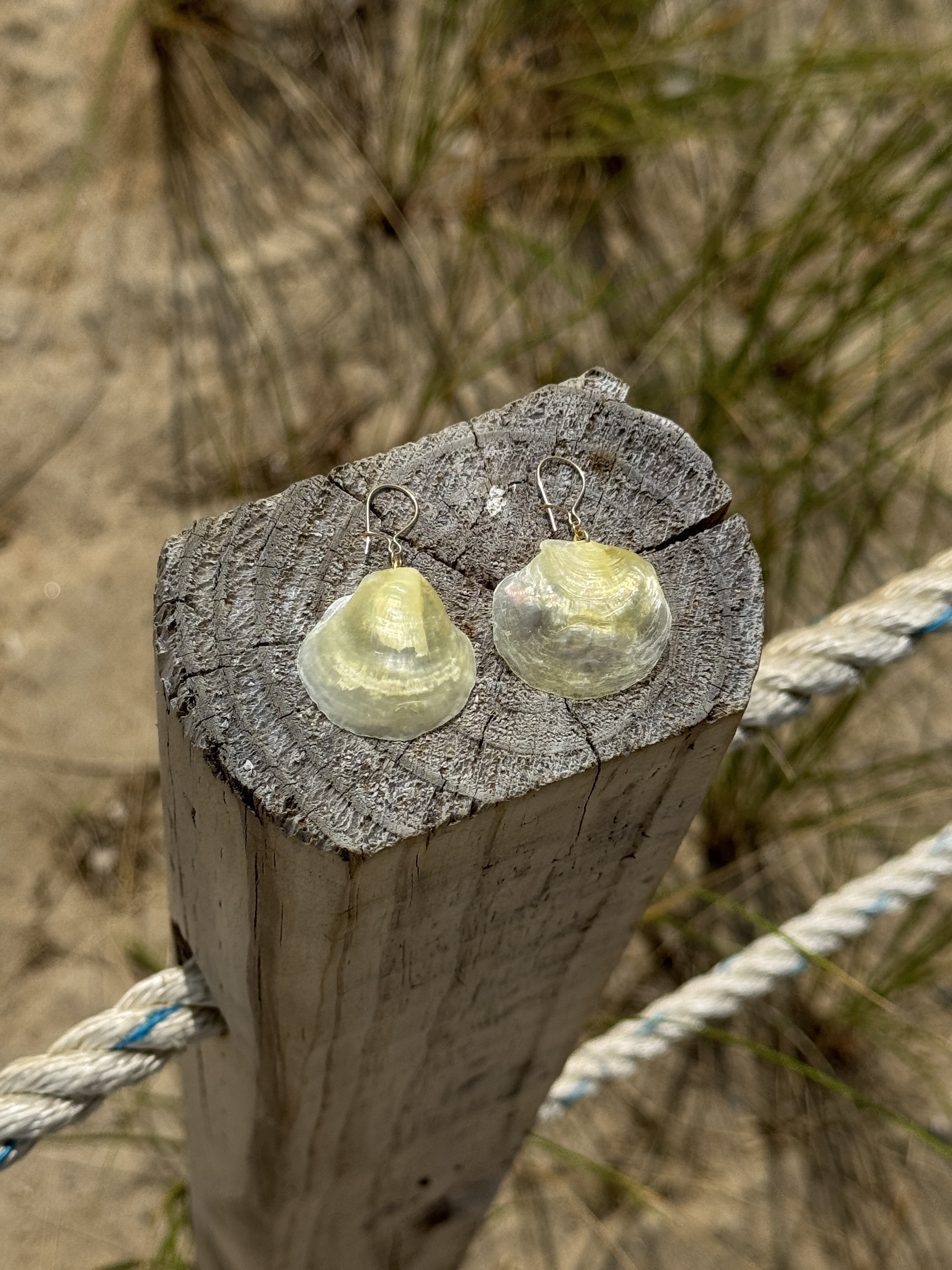 Oceangold Classic Earrings