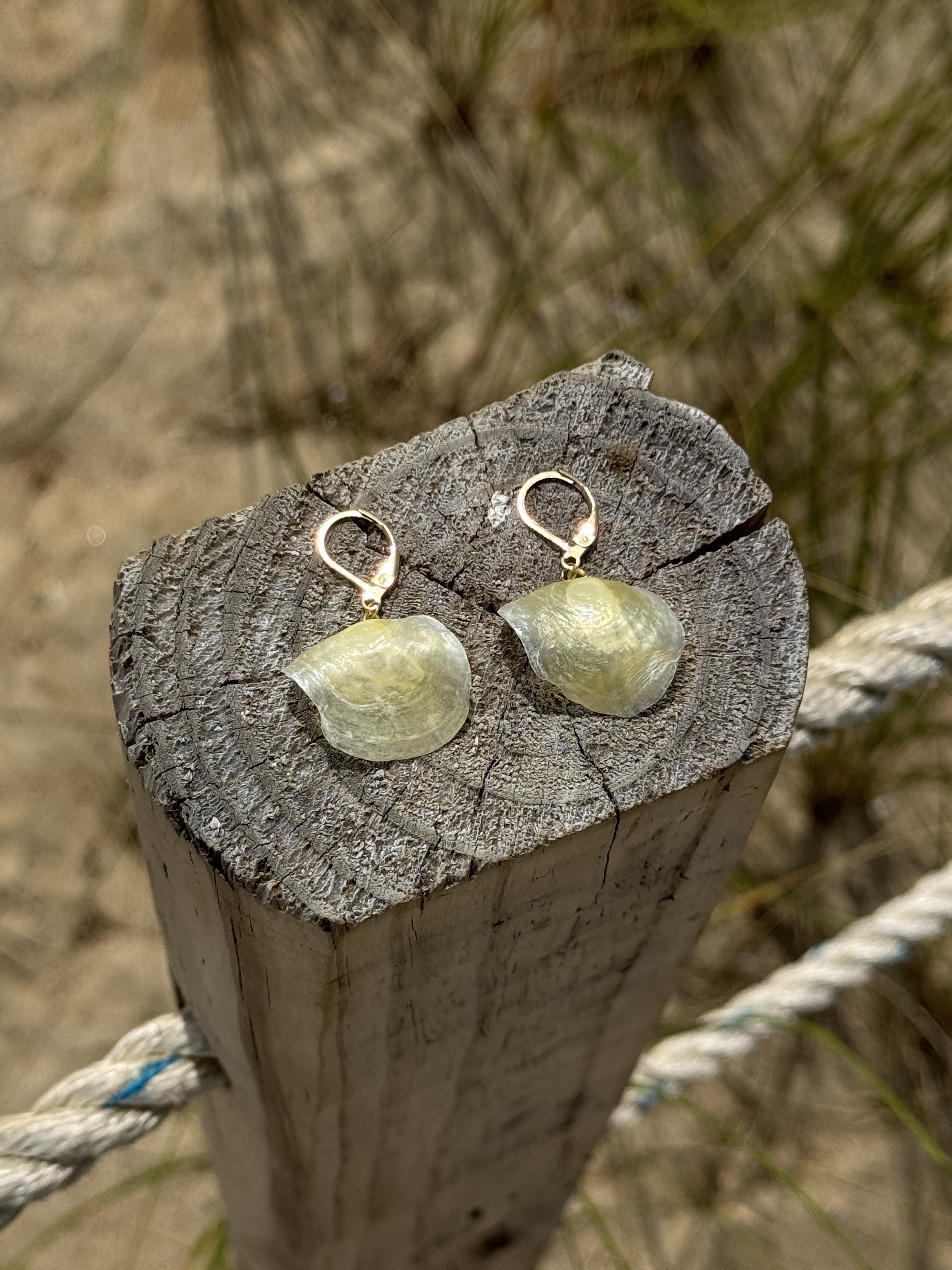 Oceangold Clasic Earrings