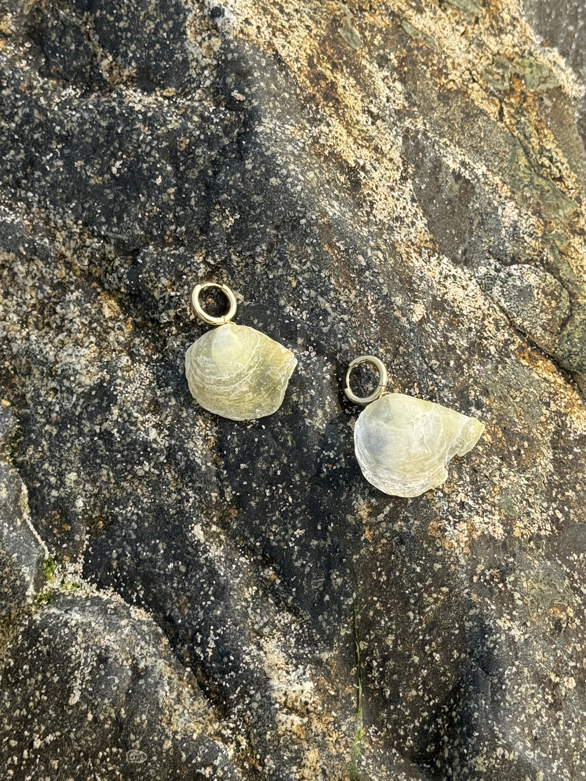 Oceangold Classic Earrings