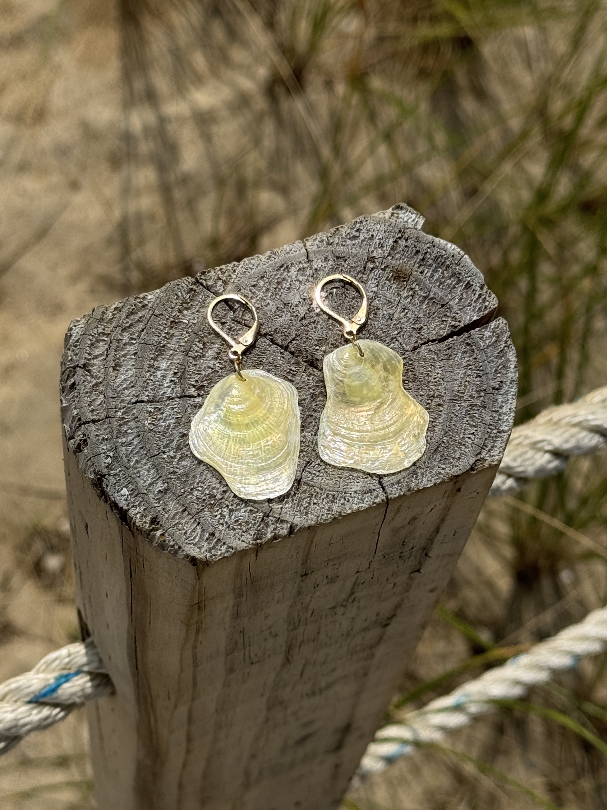 Oceangold Classic Earrings