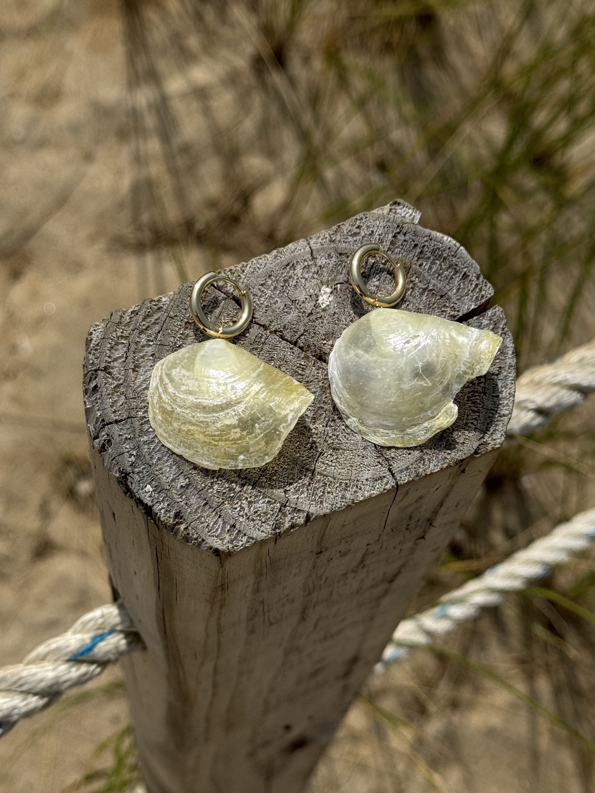 Oceangold Classic Earrings