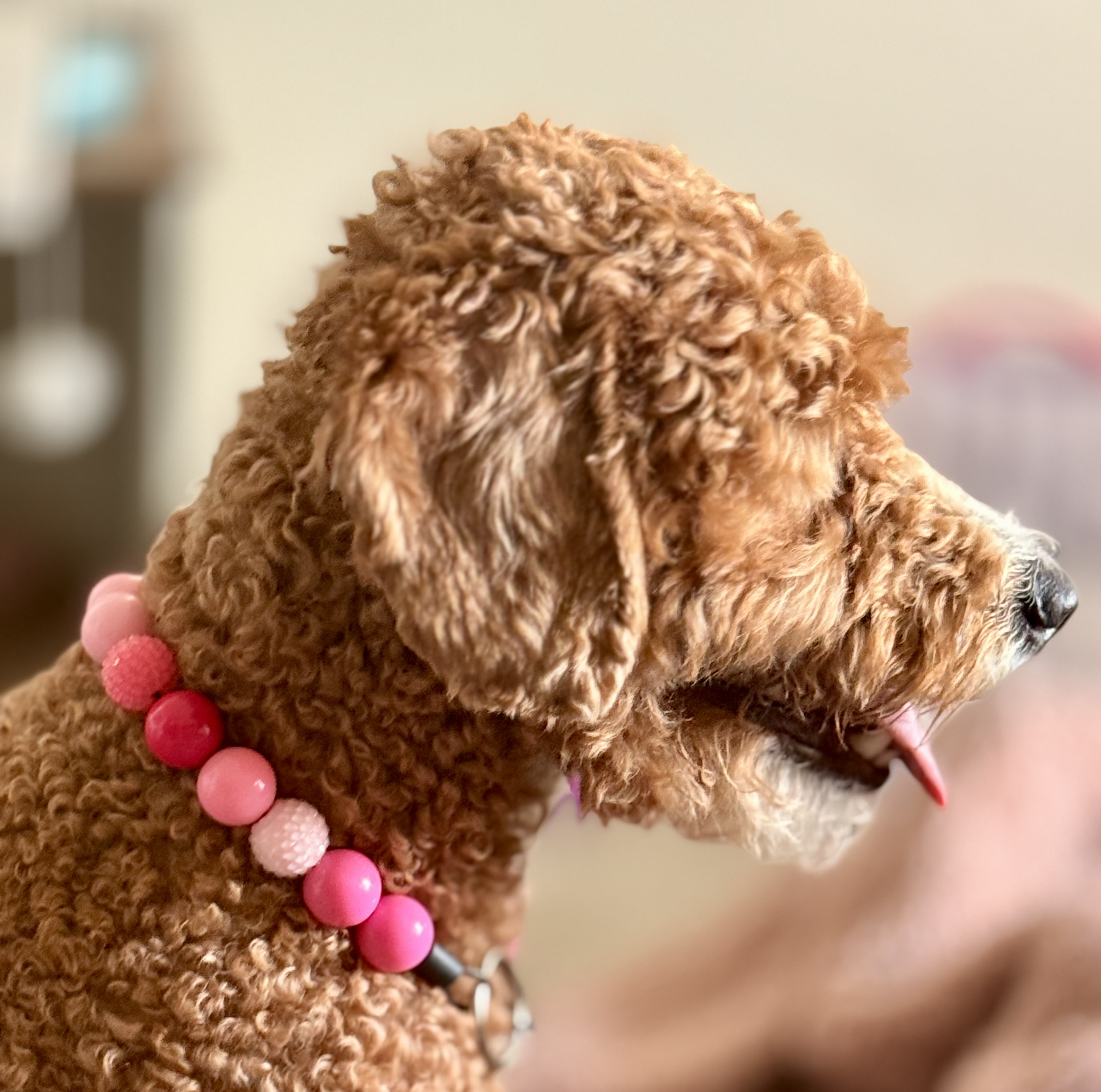 The Pink Dream Bubblegum Bead Collar