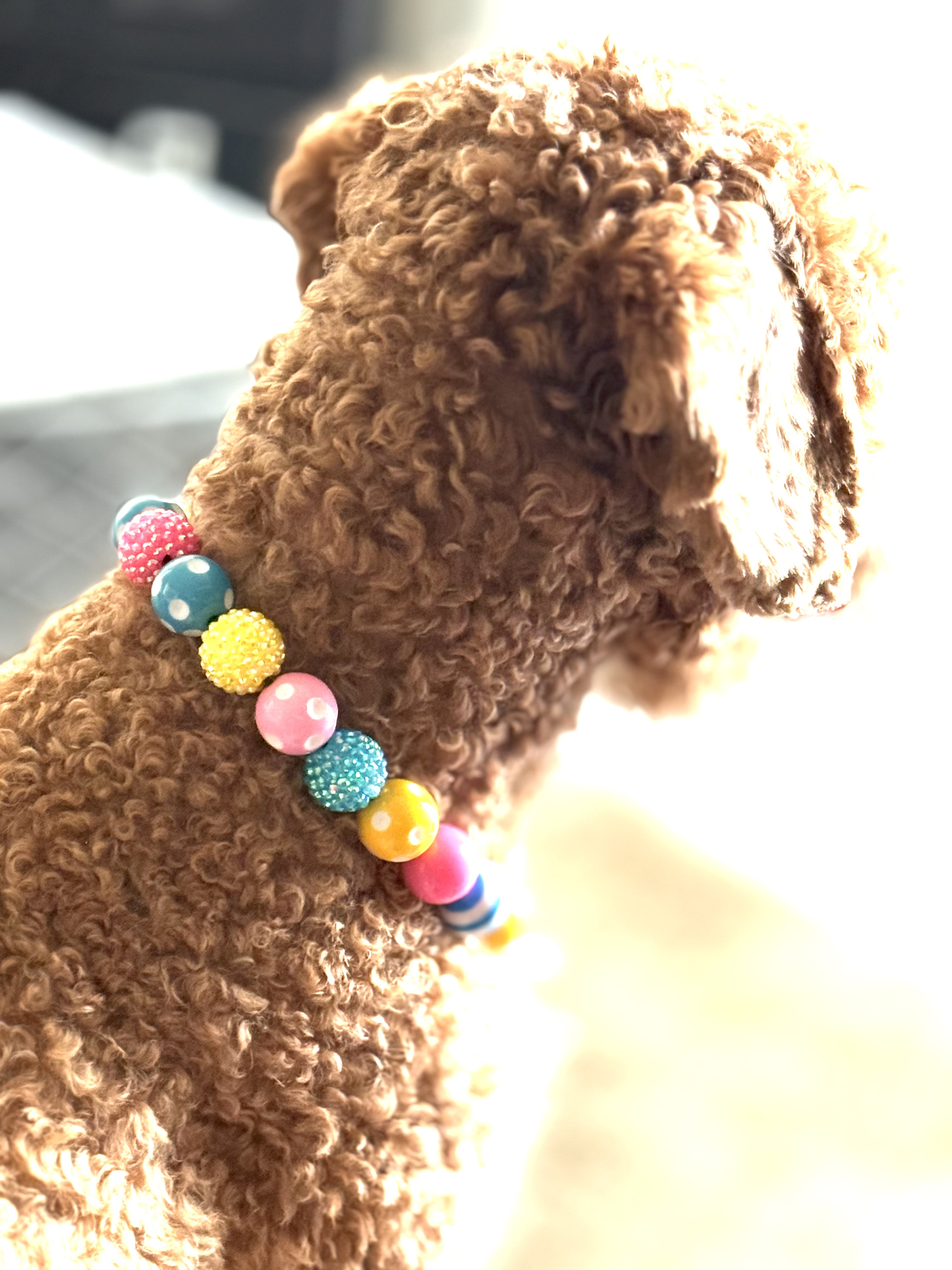The “Bubblegum Babe" Bubblegum Bead Collar